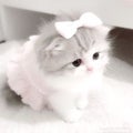 つむぎ