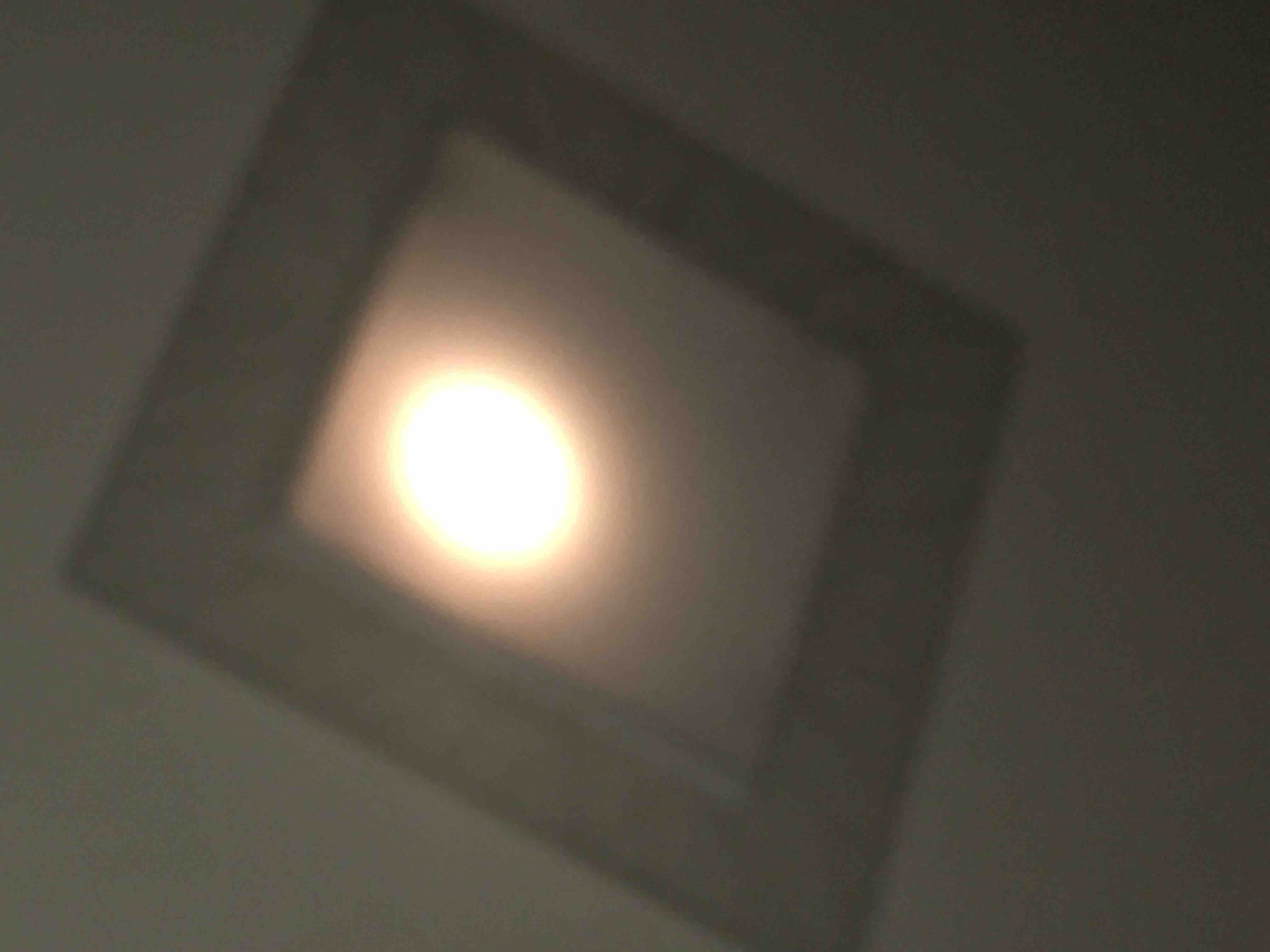 マシュマロボディ🫧