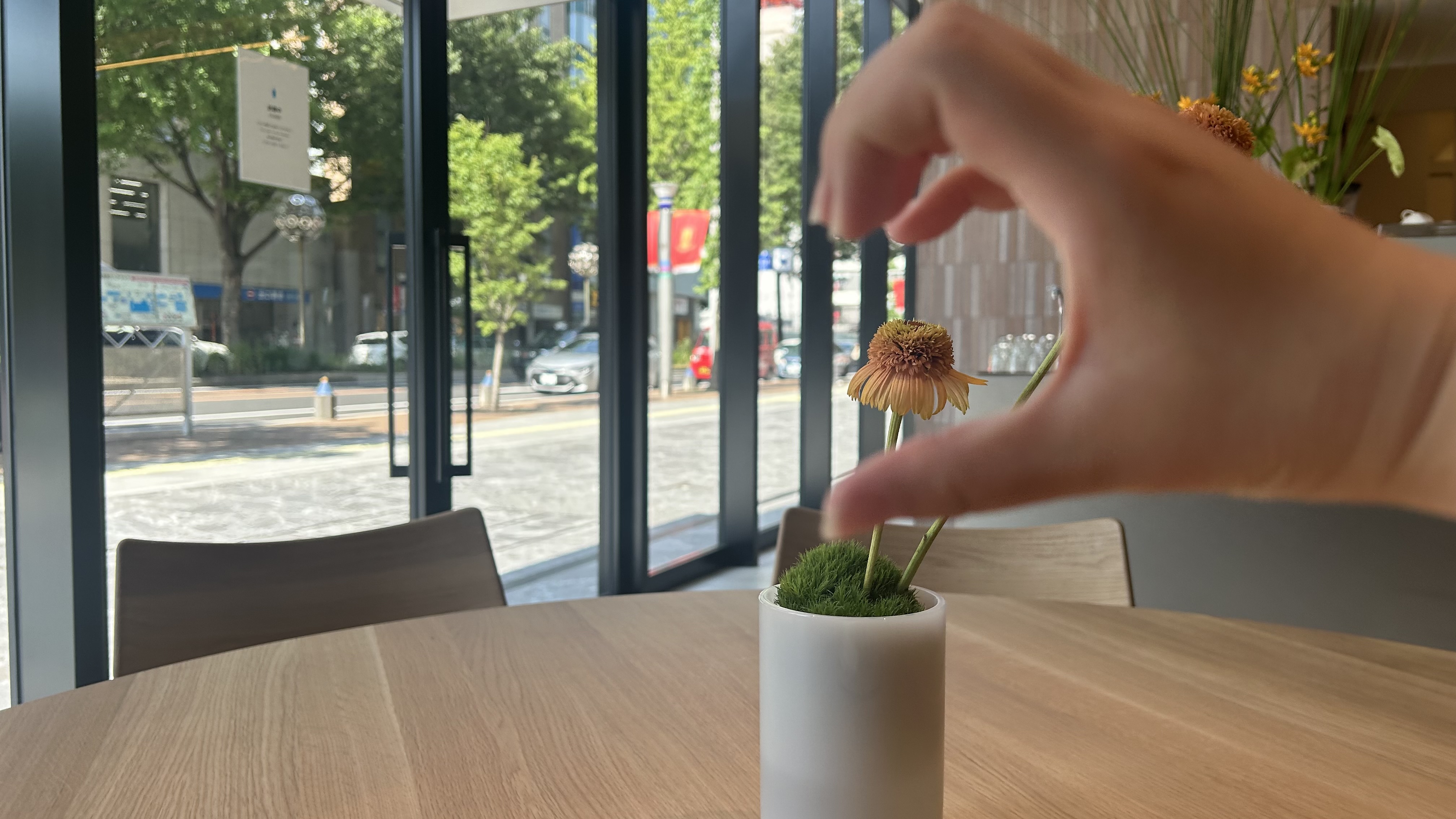 Choco⭐️フォロバします