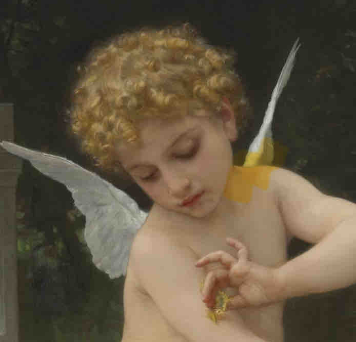 淳庵🎨フォロバ100∫ブルベ夏∫毛穴