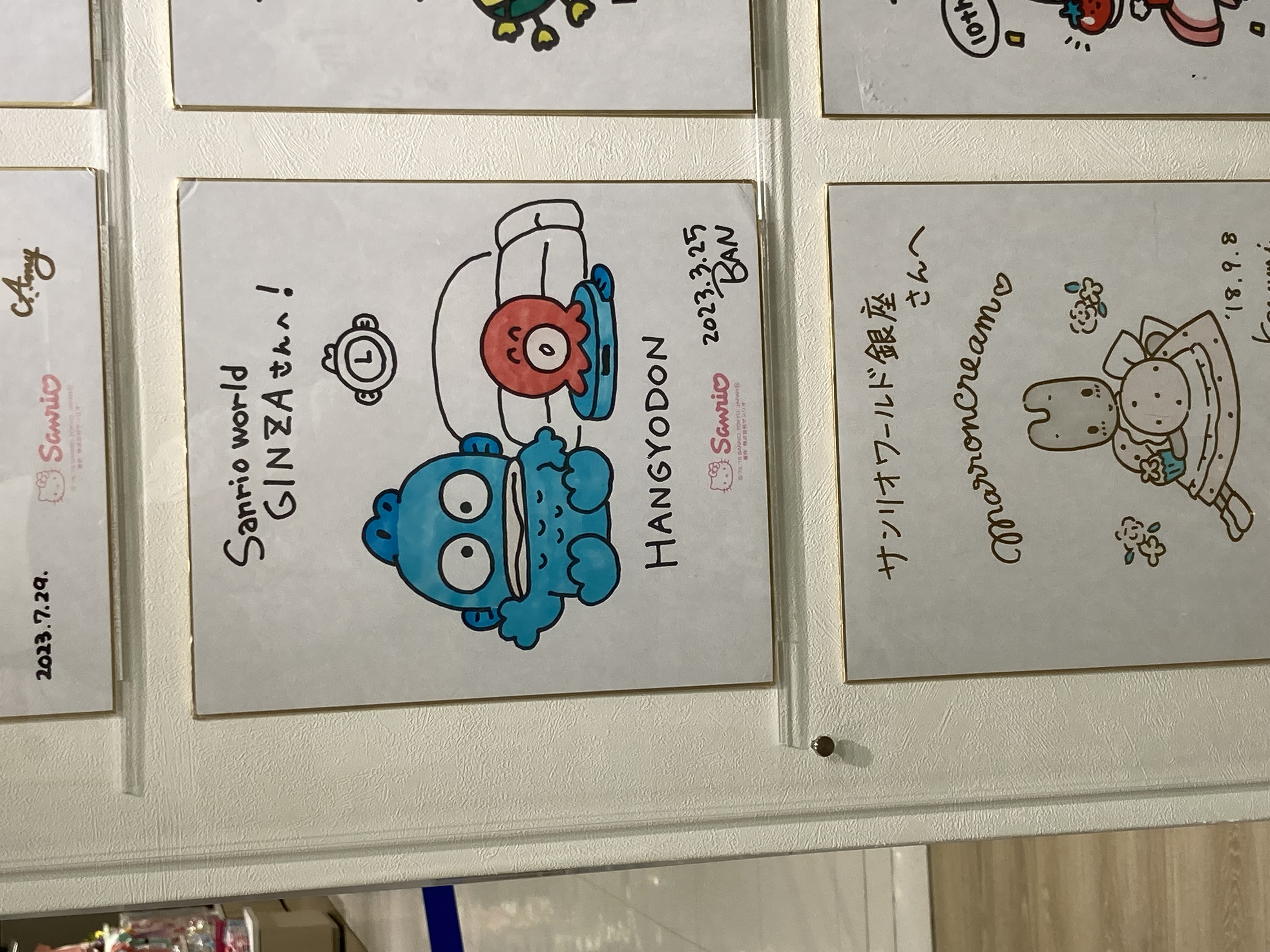 ししょ〜 〔フォロバします〕