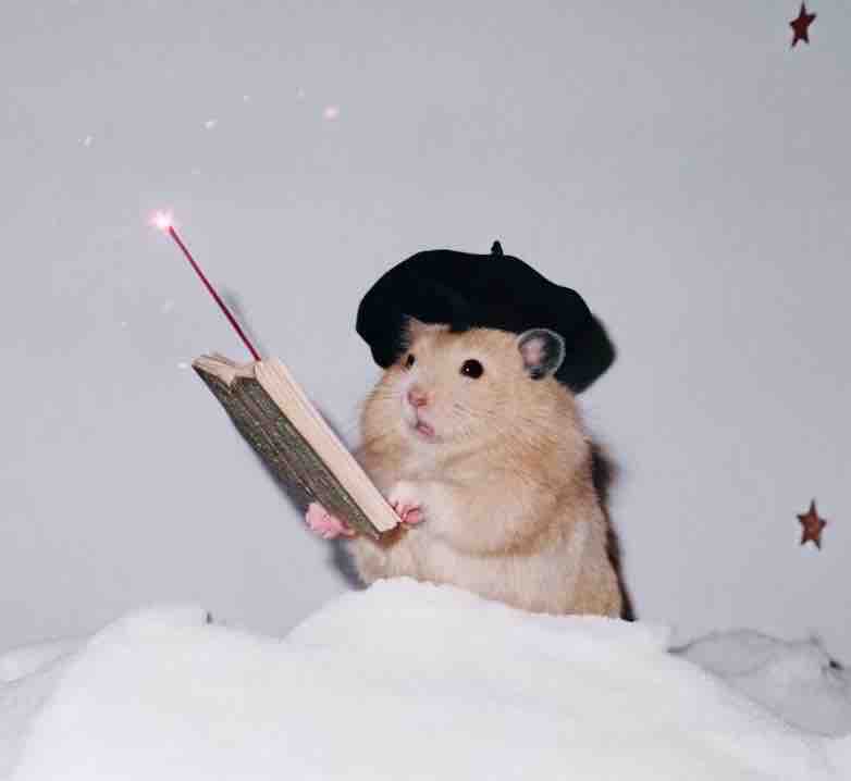 玄米☁️フォロバ100