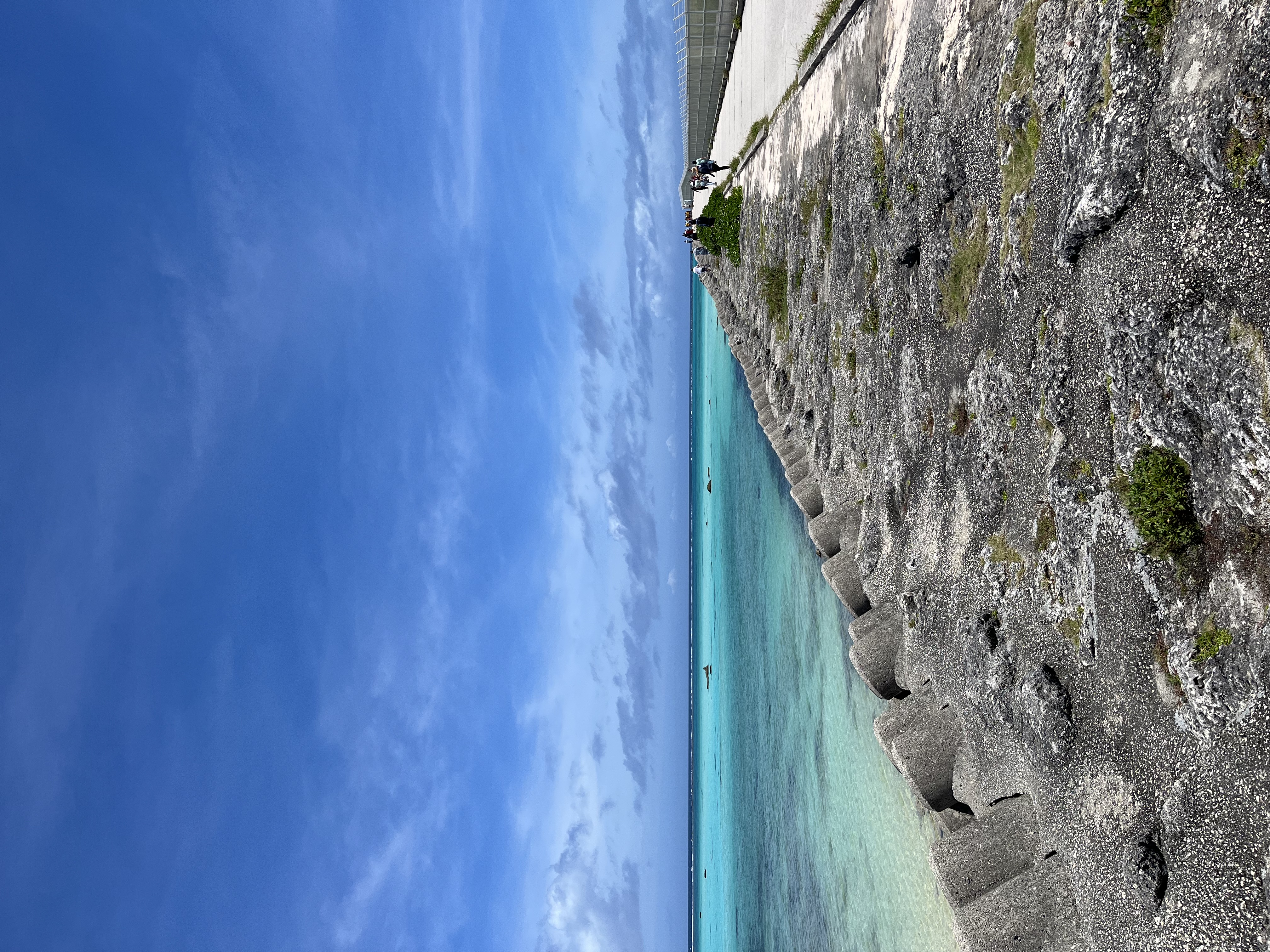 s115_09@フォロバ