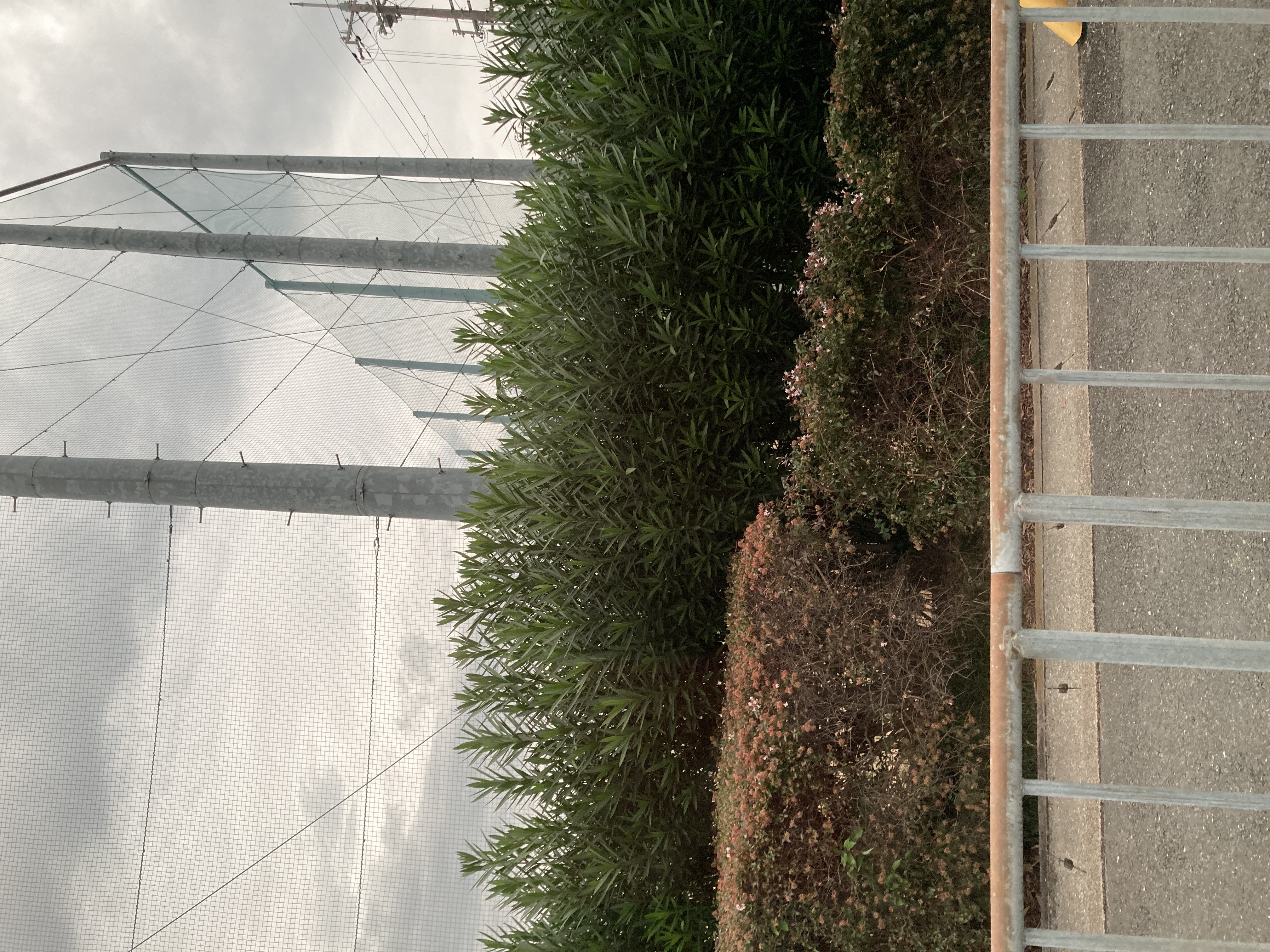 ぱんだーさんだー⚡️