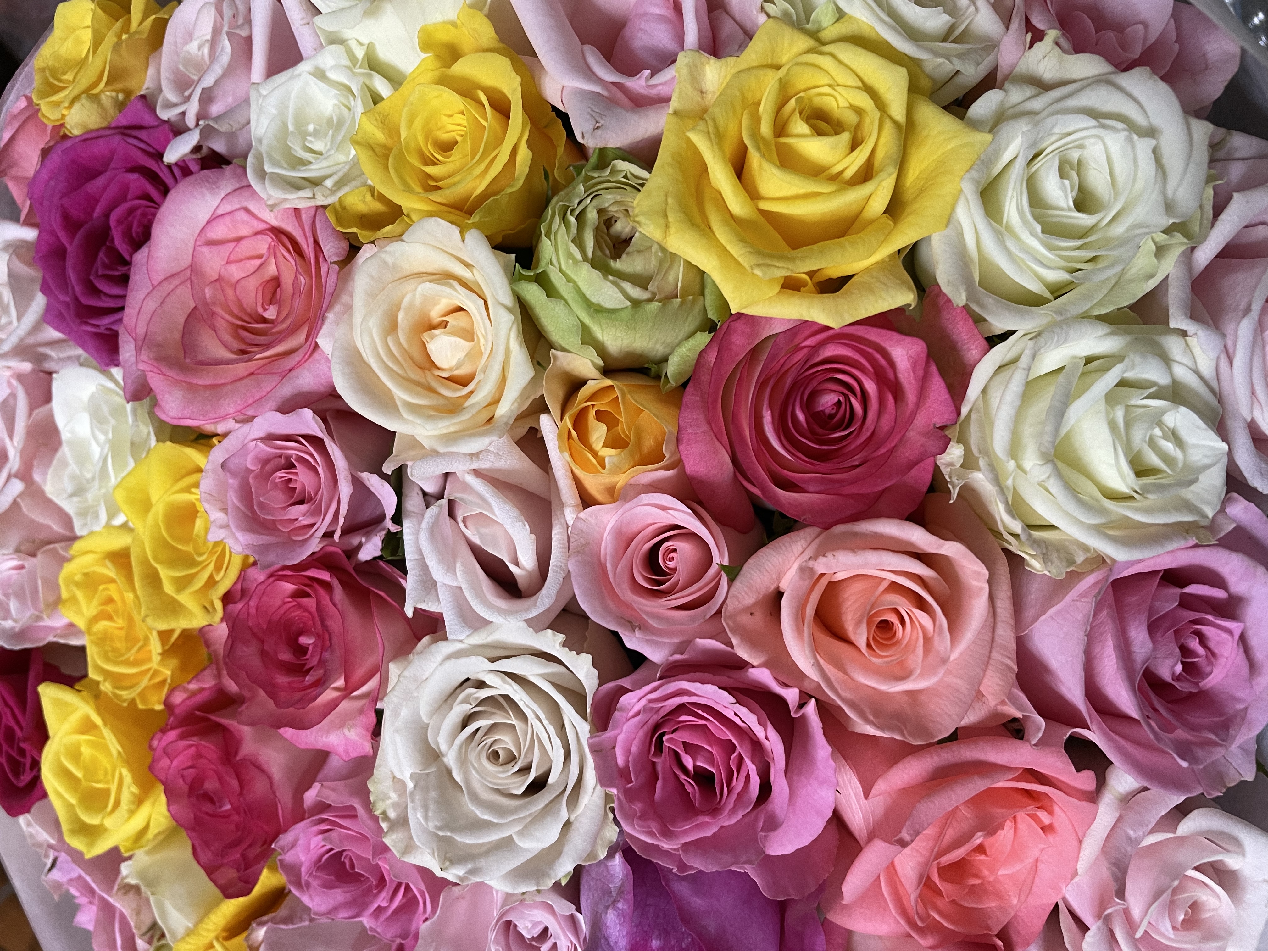 みん（フォロバします！）