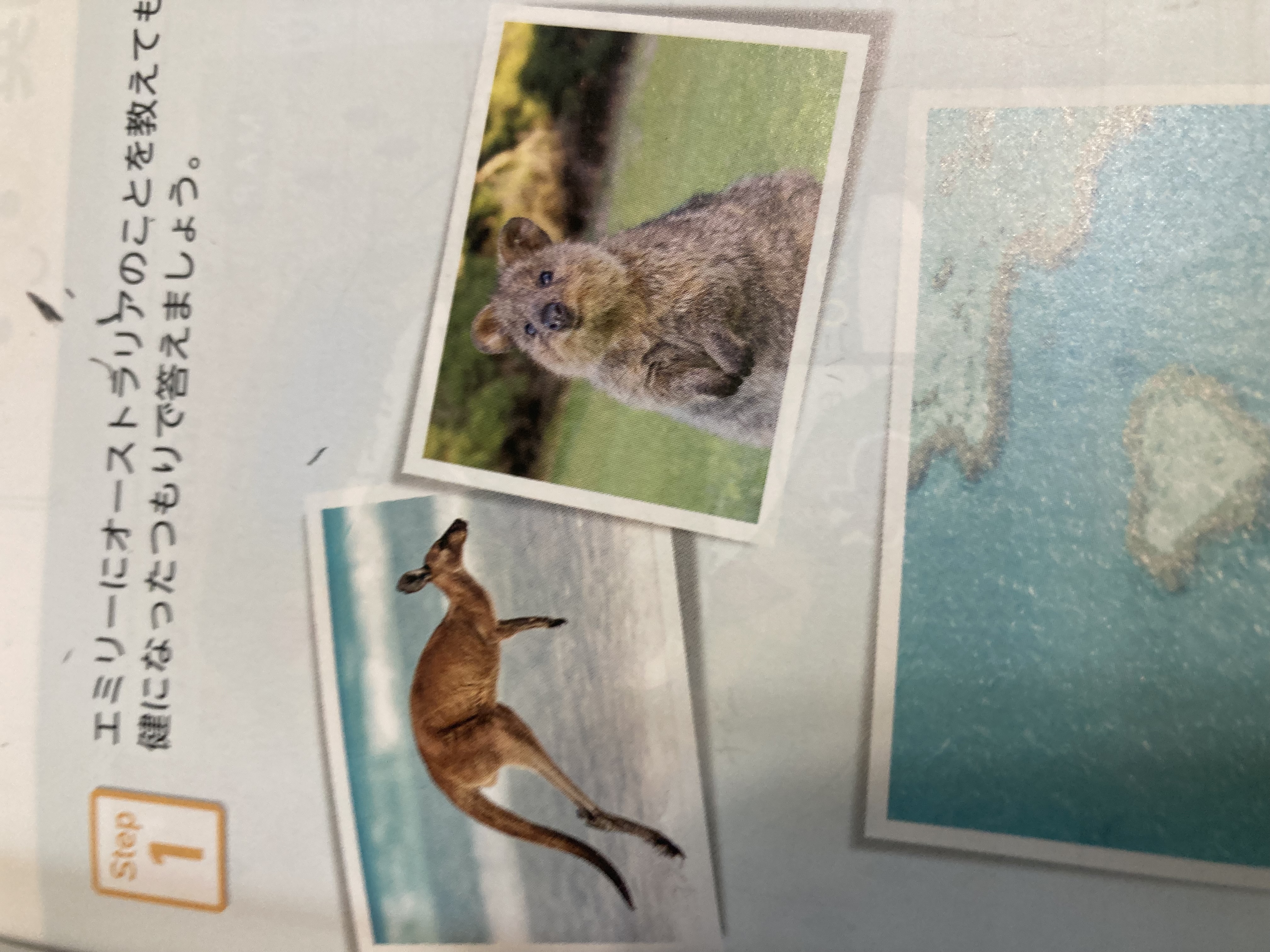 ﾕﾂﾞｷｯｻﾝ