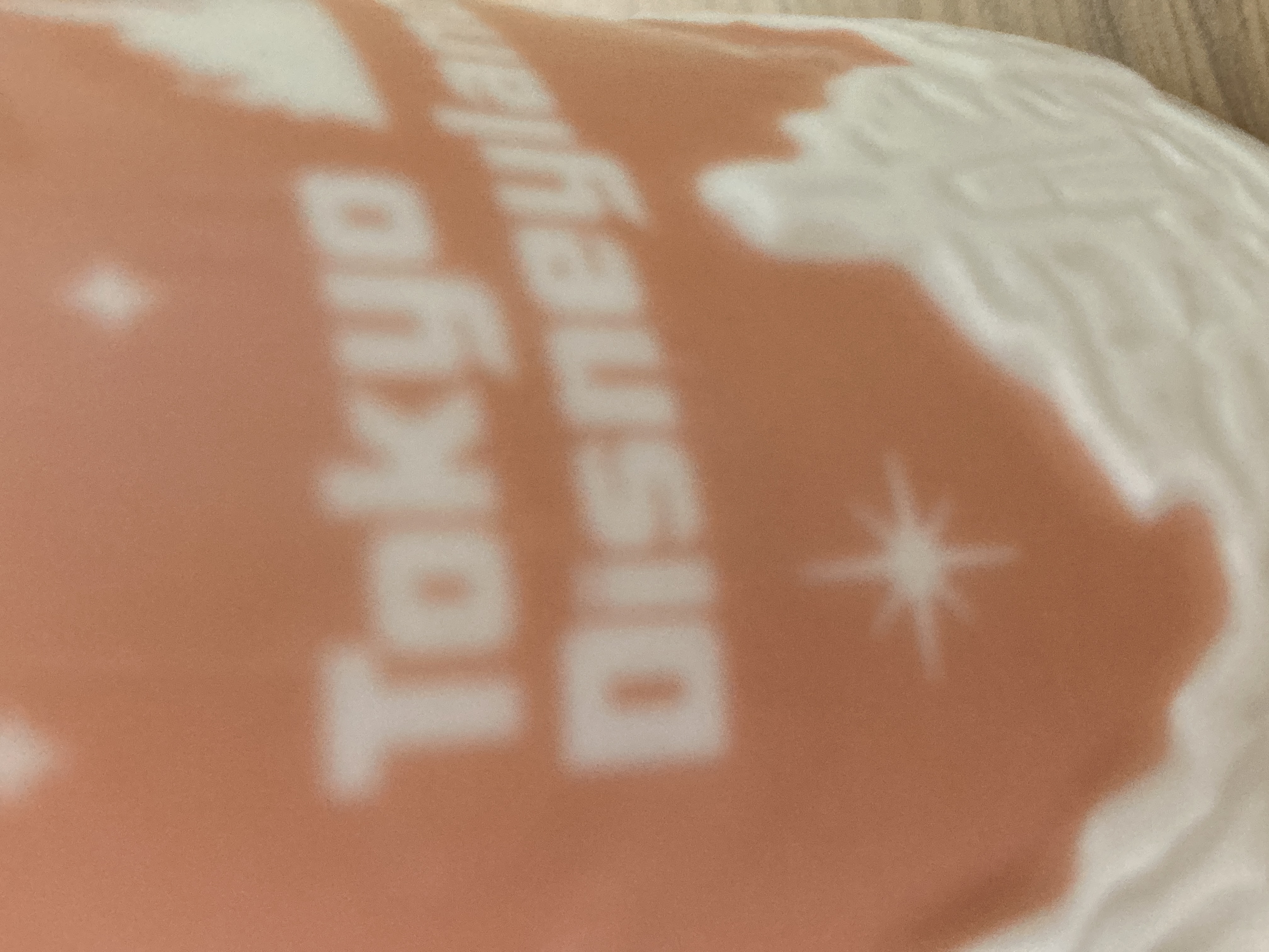 焼き餃子の反乱🍜