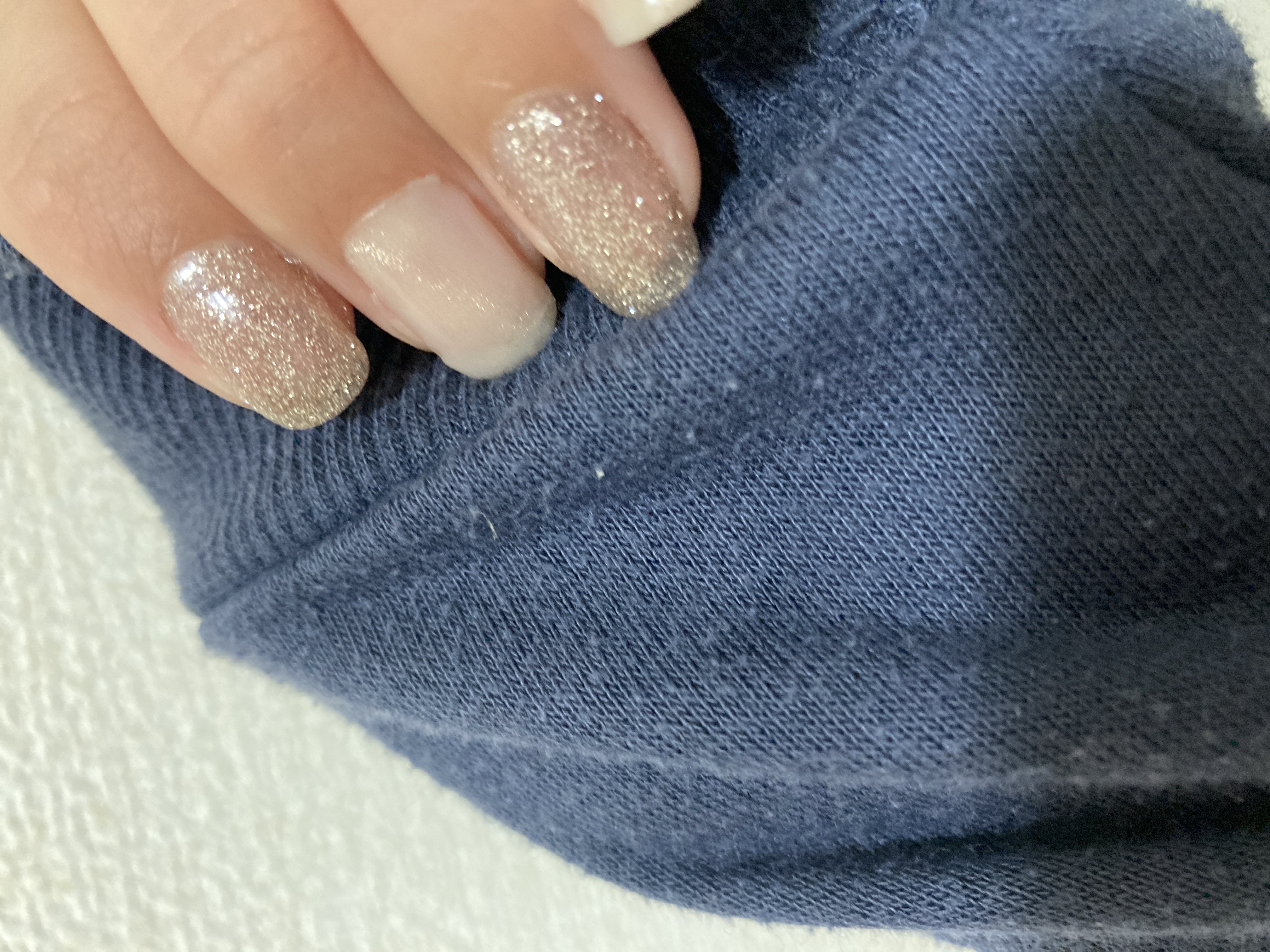 完璧な迷い人🐕