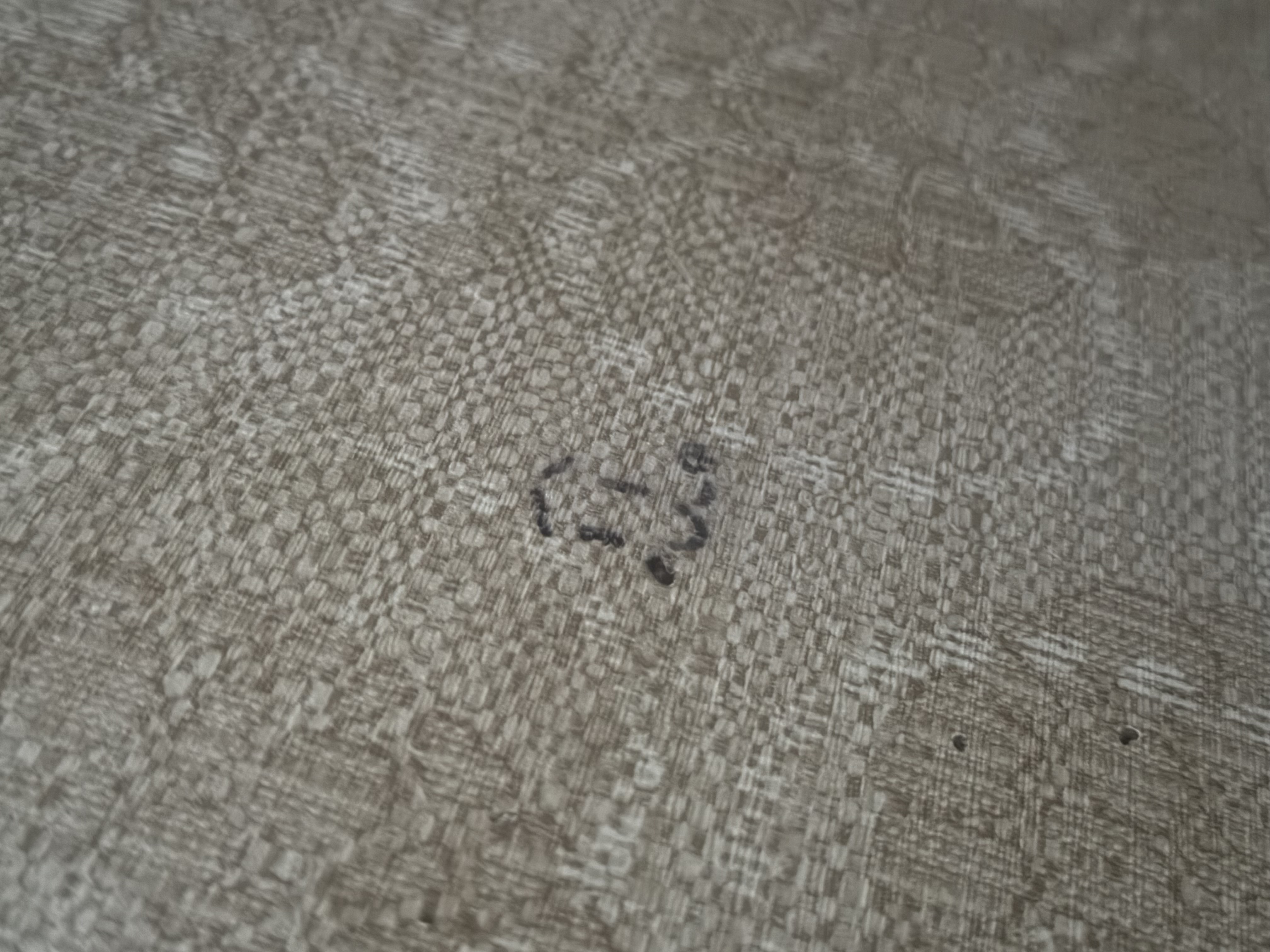 おまもり日記♡フォロバします♪