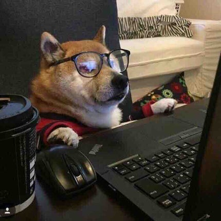 Kolin⭐️フォロバします♡