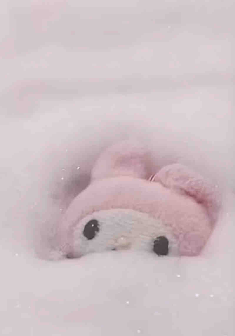 💕yuzu💕ﾌｫﾛﾊﾞ