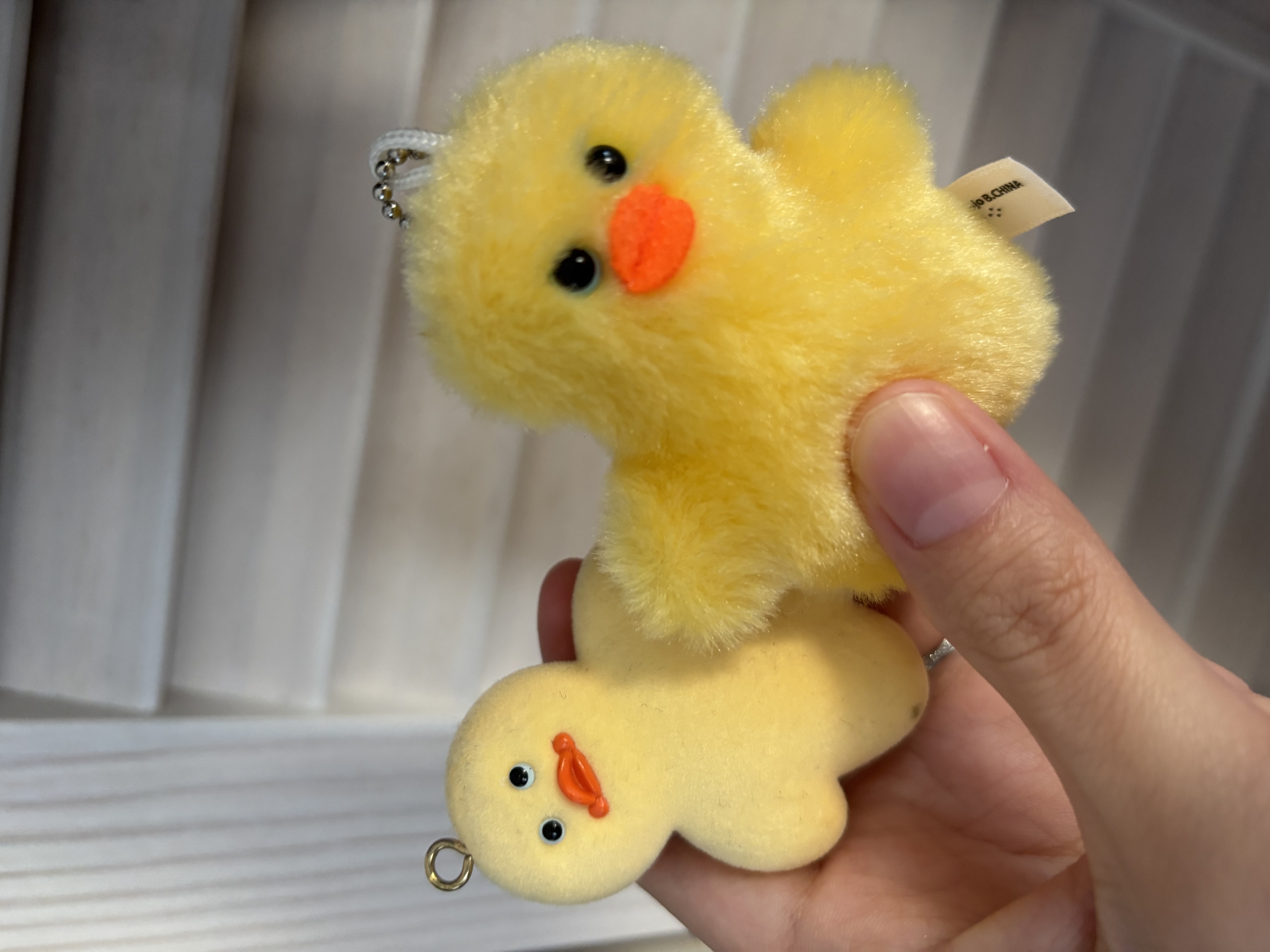 あおぽん フォロバ100!!