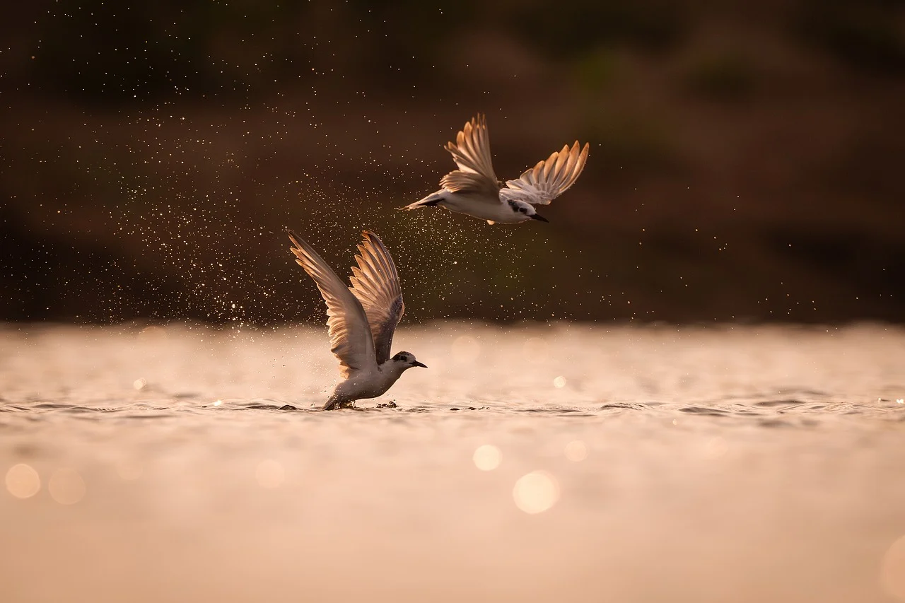 南さん🥺❤️❤️