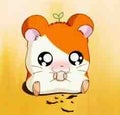 はむたろう🐹フォロバ