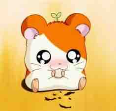 はむたろう🐹フォロバ