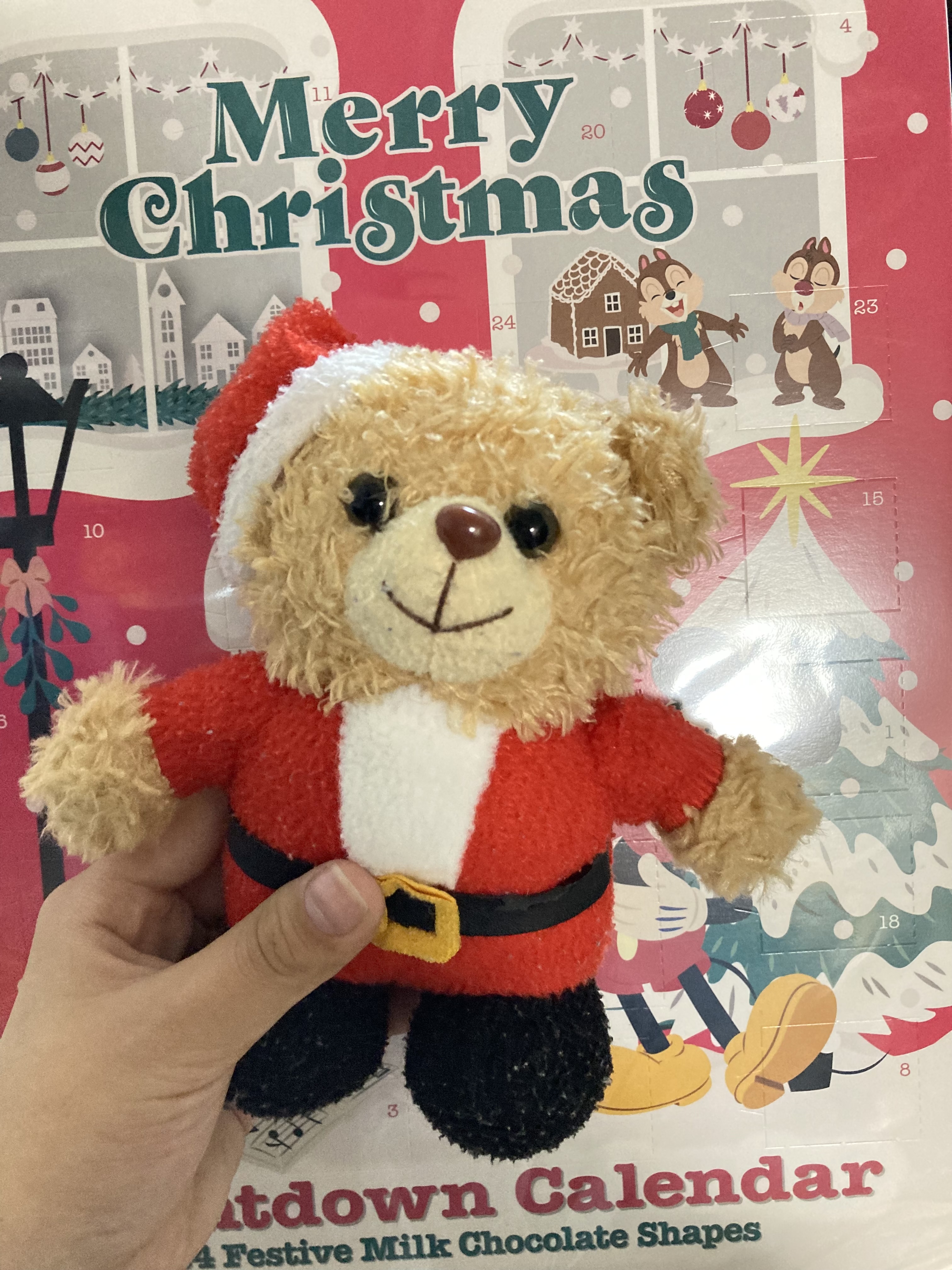 せな🐱🐧 フォロバ