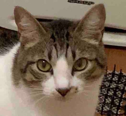 たぬこ🐻フォロバ100