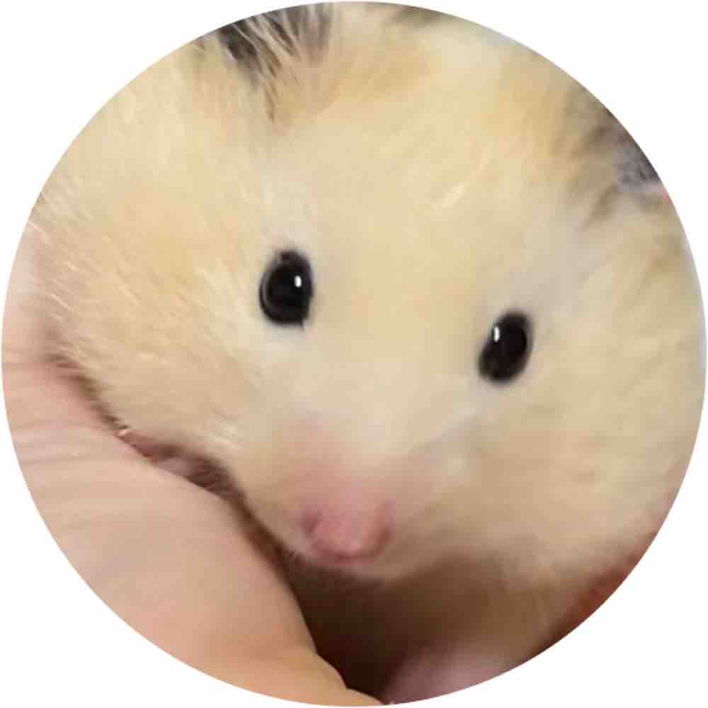 Ryo@フォロバ＆リムバ100%