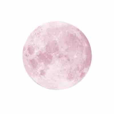 𝙼𝙸𝚈𝚄໒꒱· ゚❤︎