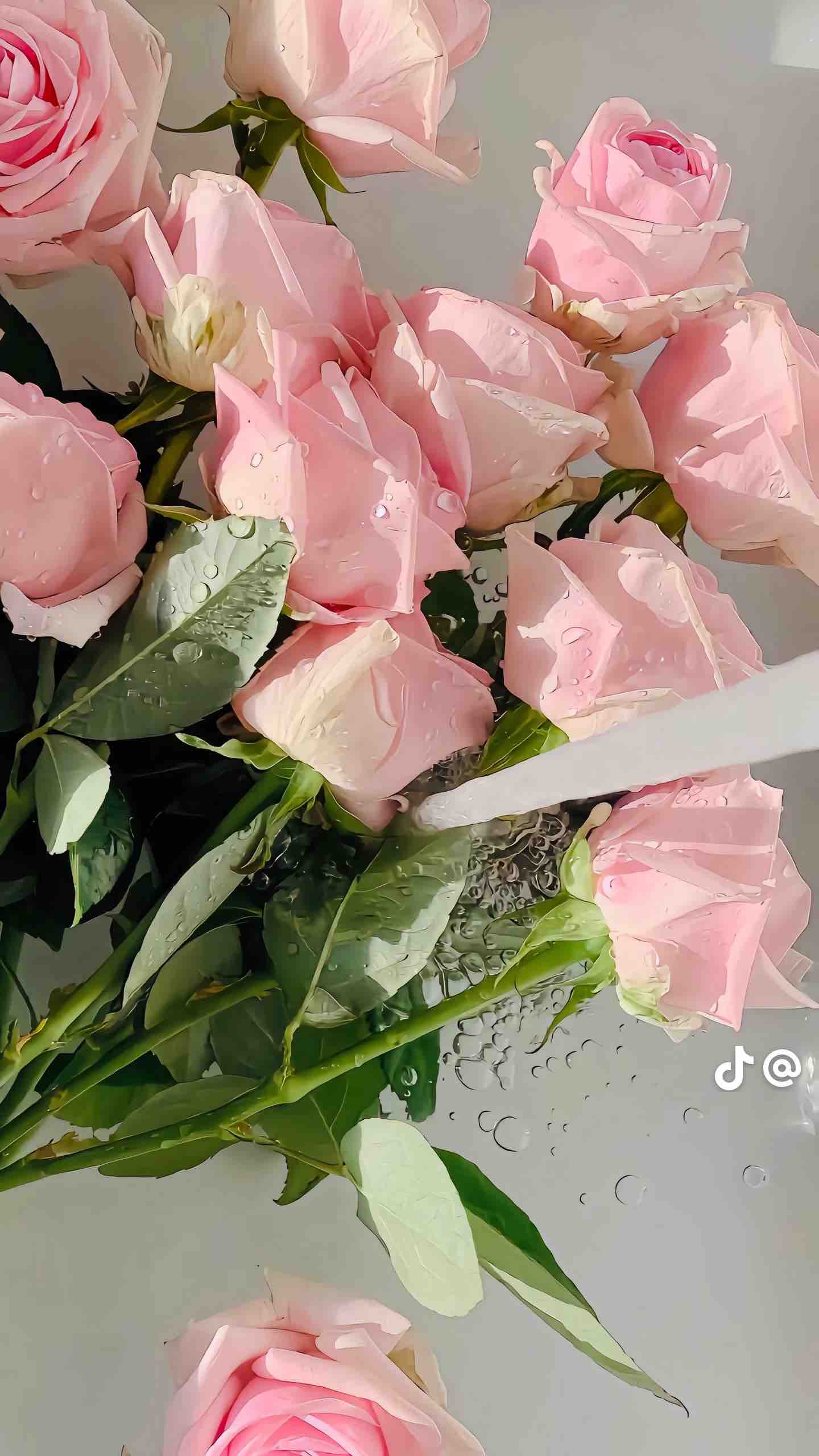 寝るの大好きisfp