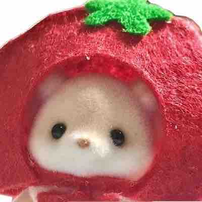 萌／フォロバします