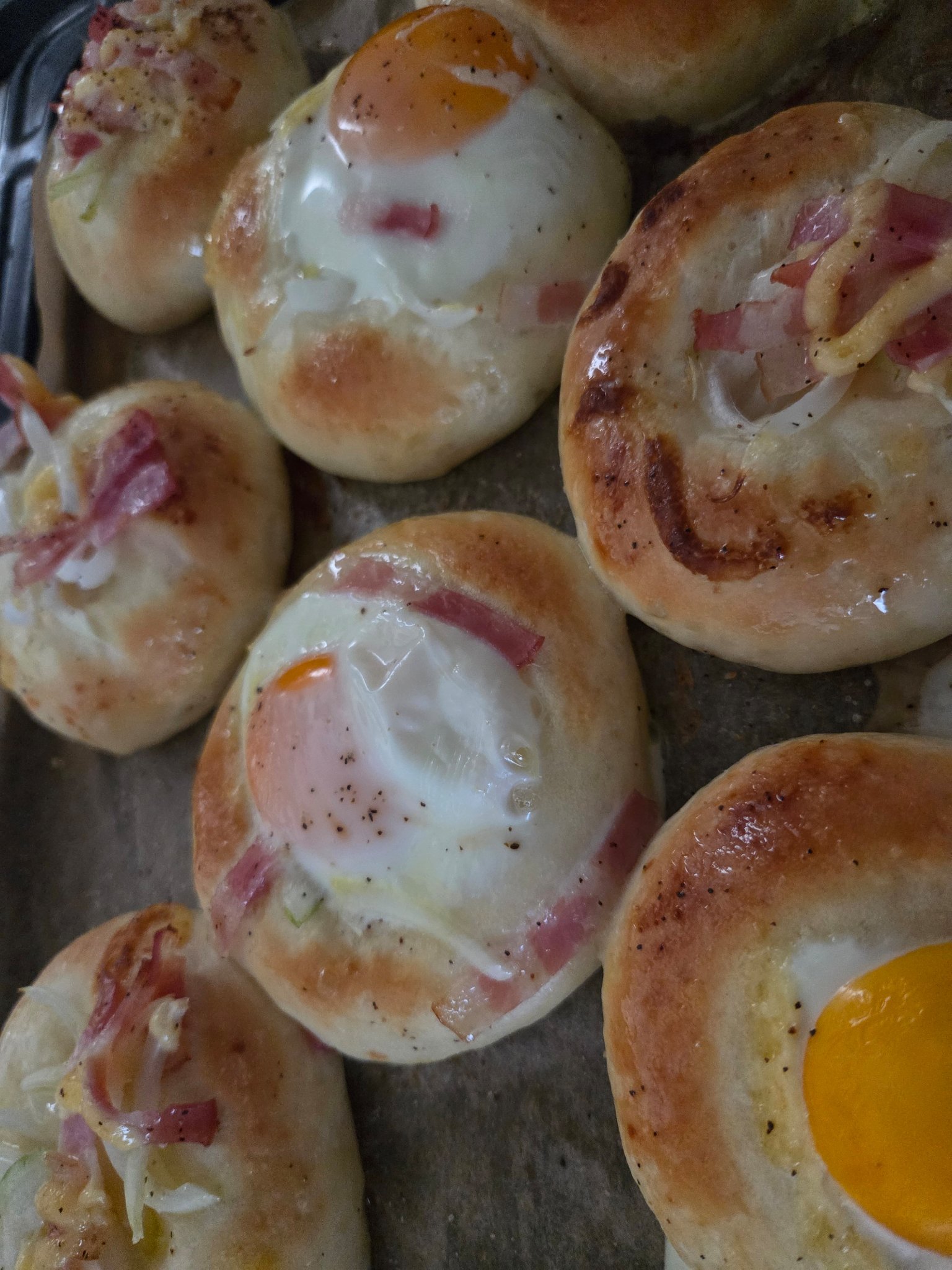 のんびりフォロバ