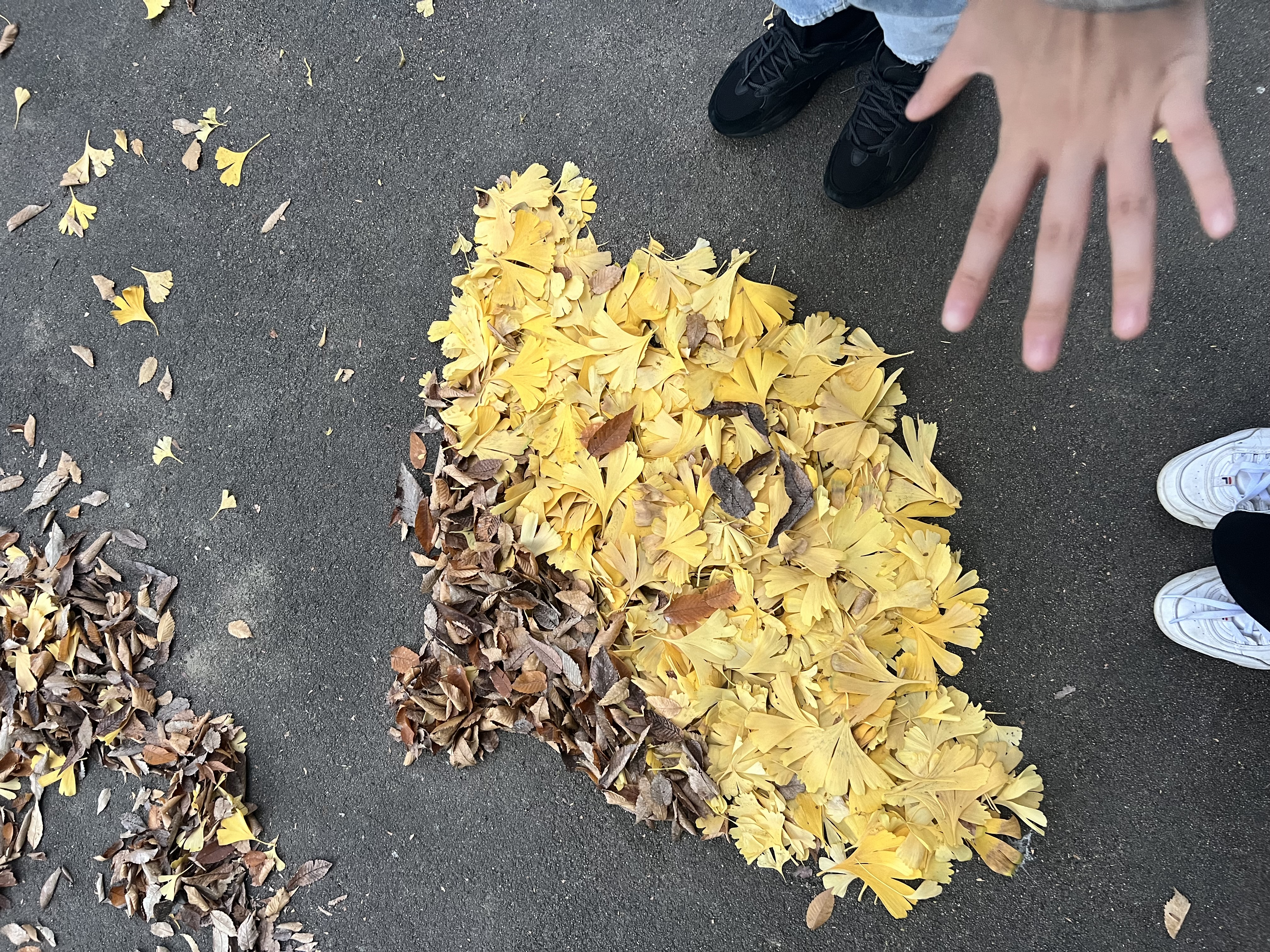 でぃーぷおーたむ