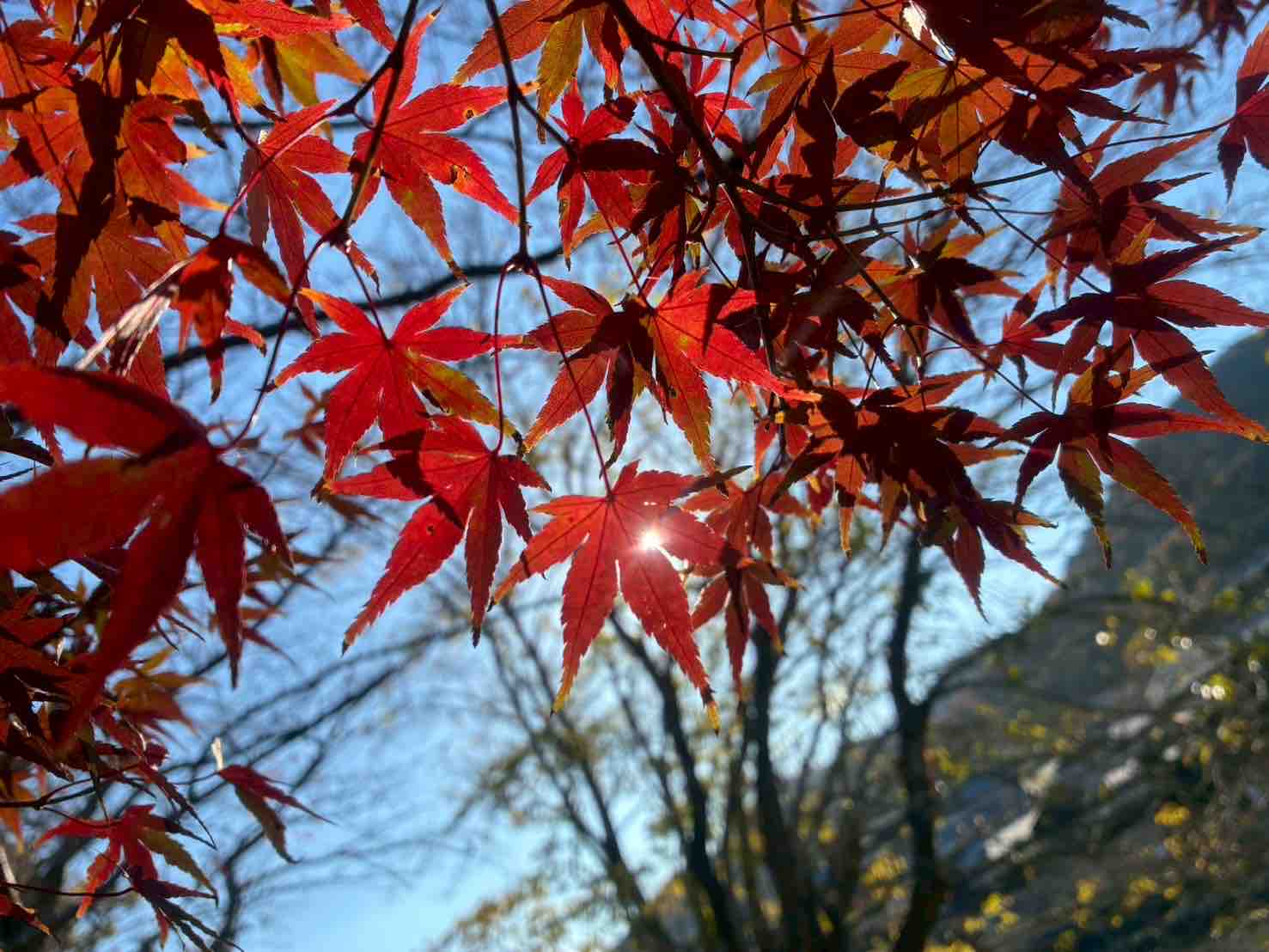 fantastic_cosme_eg49