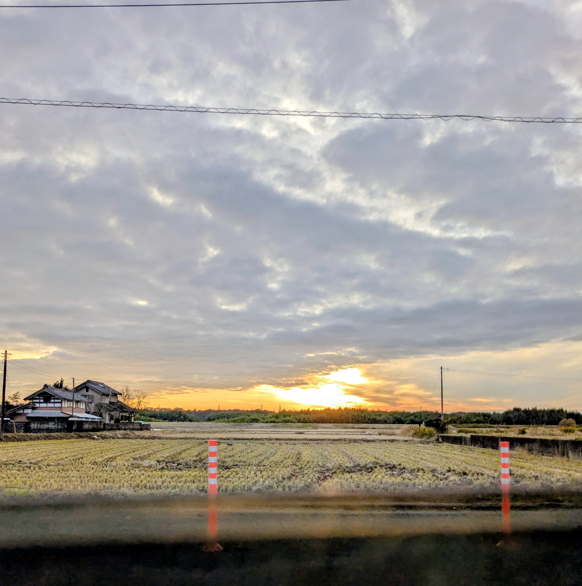 ちゅーがくせー