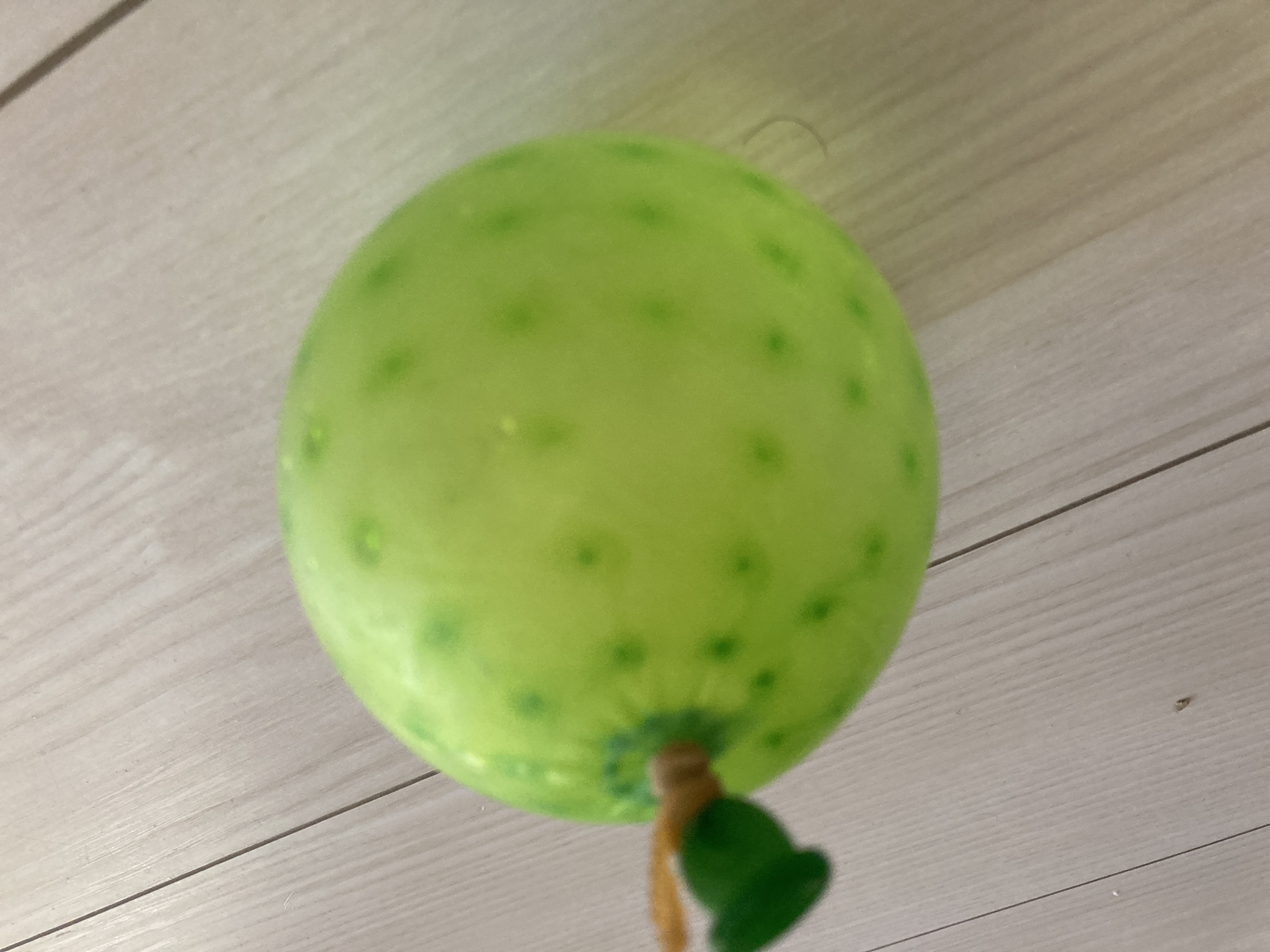 道連れペルシャネコ🐈