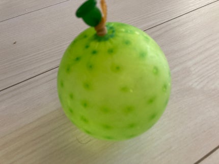 道連れペルシャネコ🐈