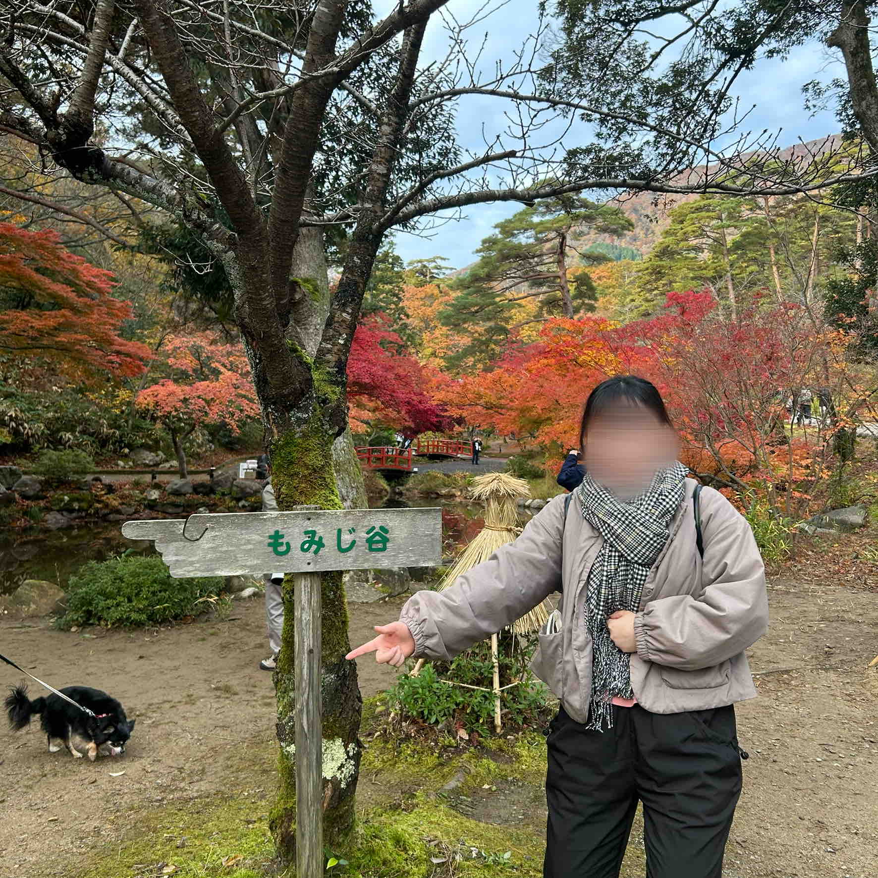 ｻﾑ ﾌｫﾛﾊﾞ100ﾊﾟｰｾﾝﾄ