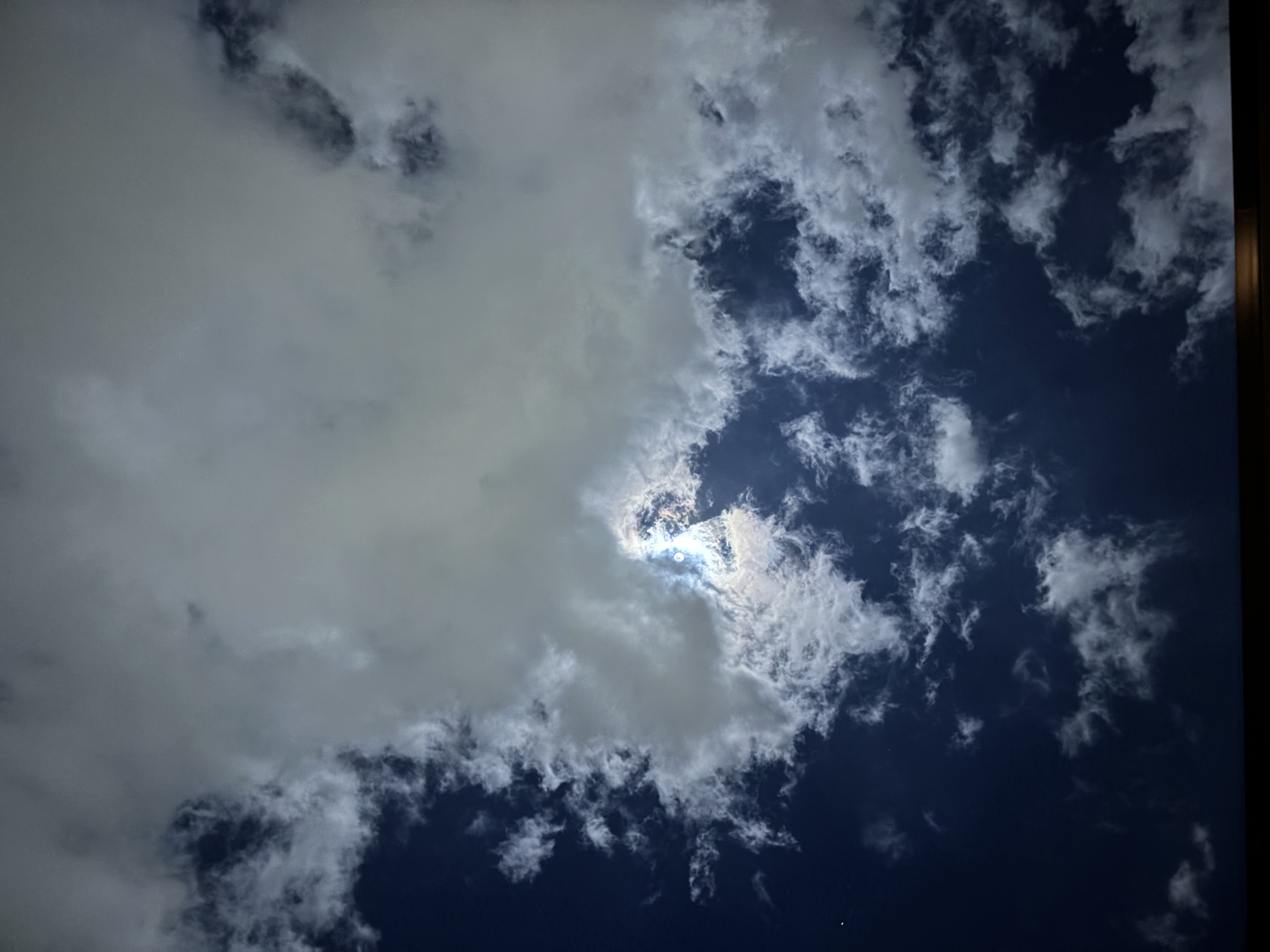 噂のパン屋さん