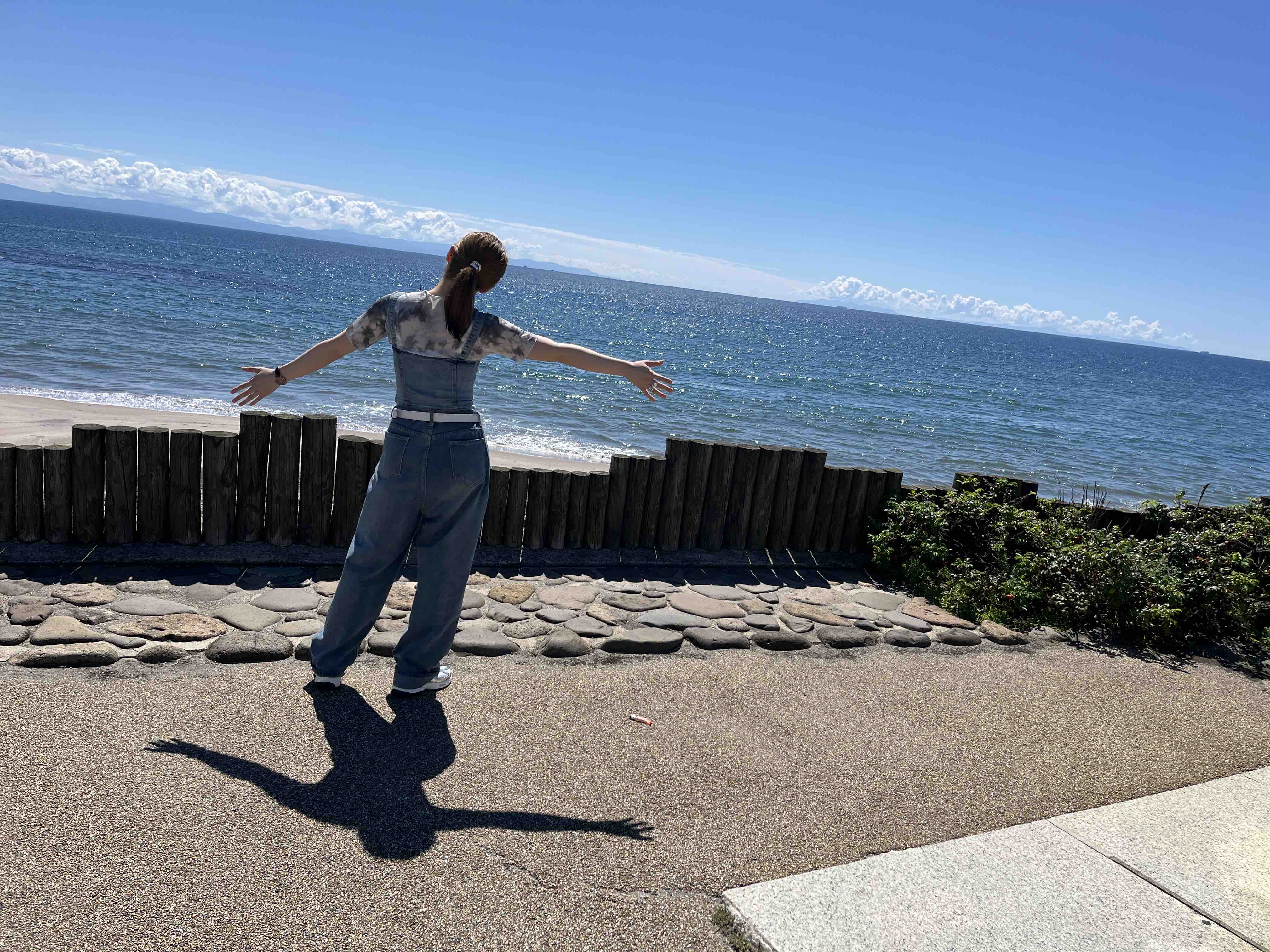 3BF9🐬フォロバ100🌸