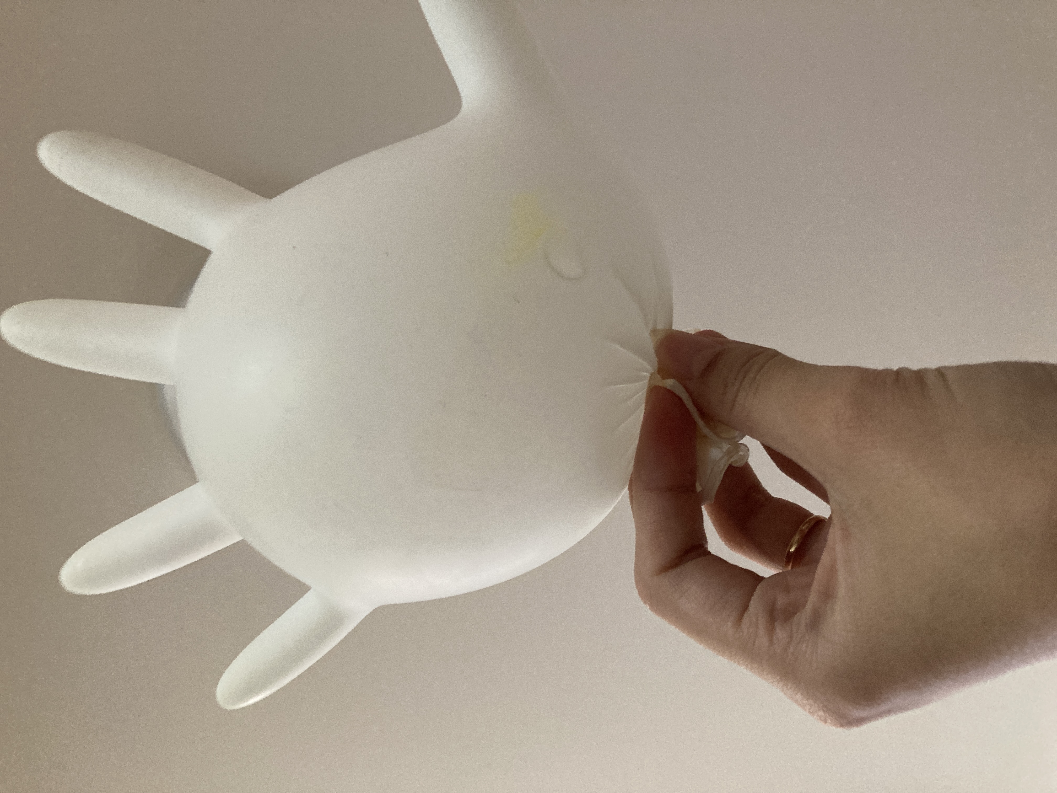 柑橘系バケーション🍋