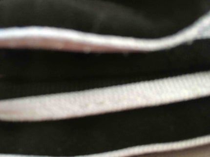 ティラノサウルス🍧