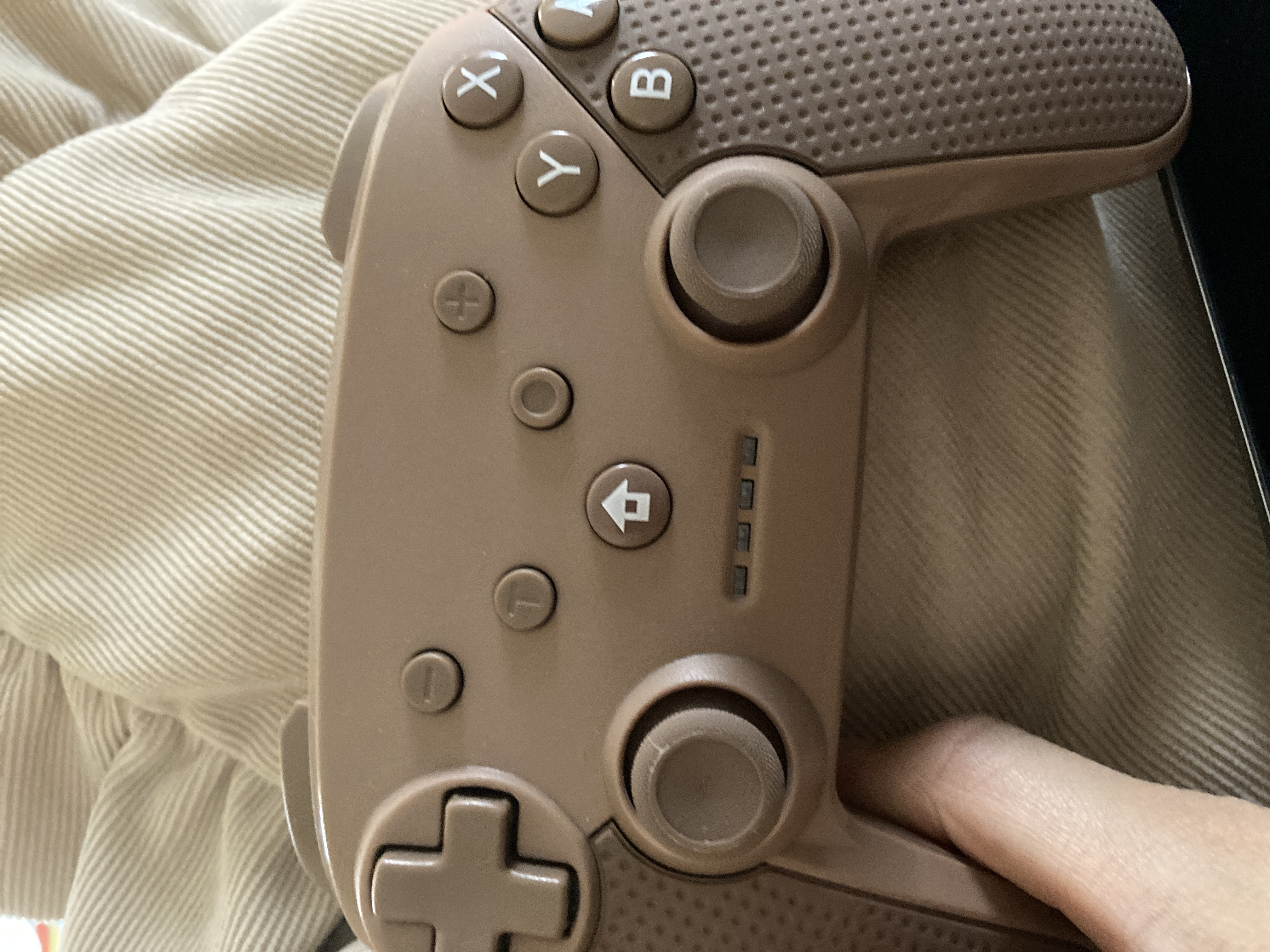 まっすぐなウミウシ🌊