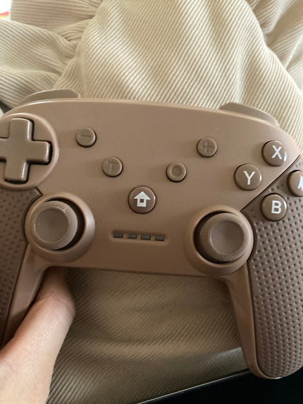 まっすぐなウミウシ🌊