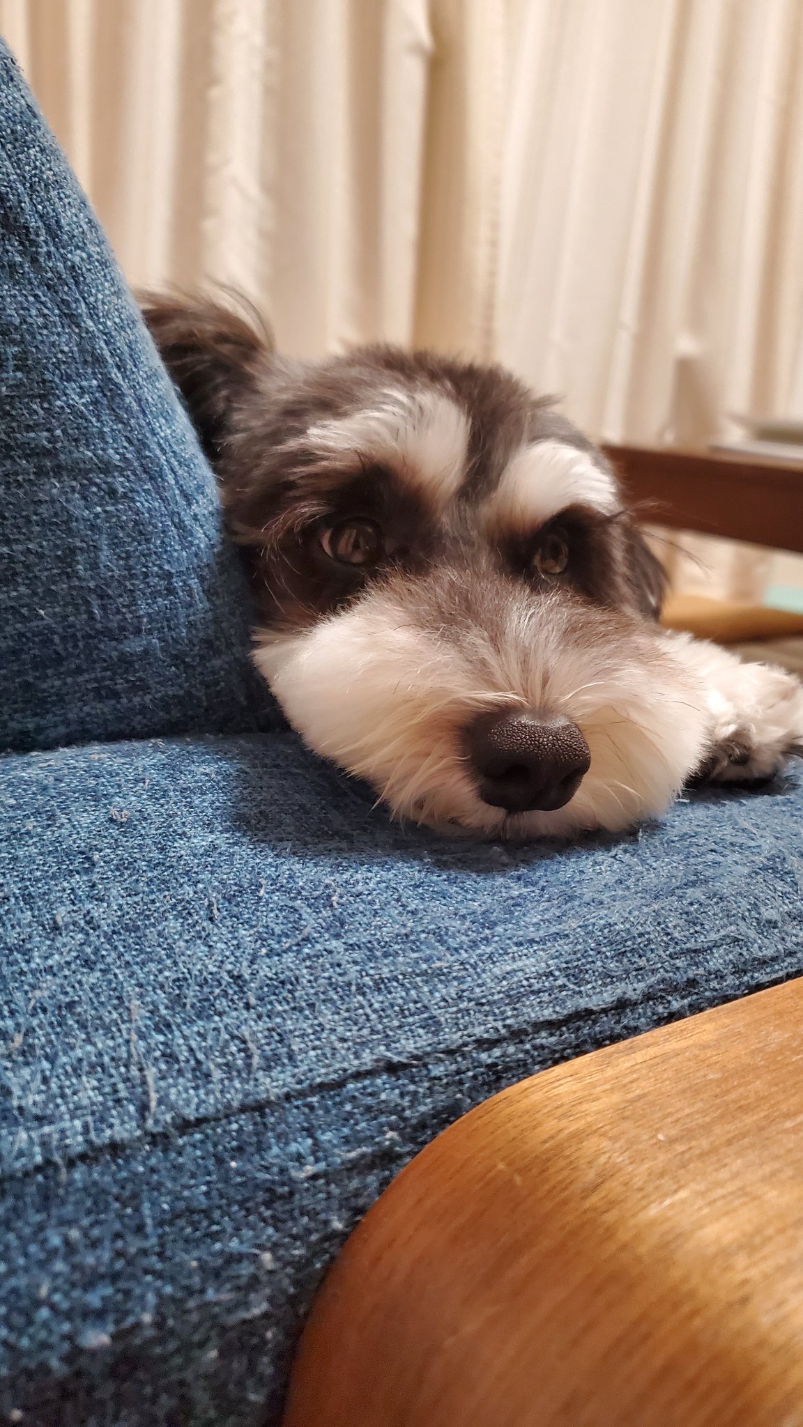 もな | フォロバ100