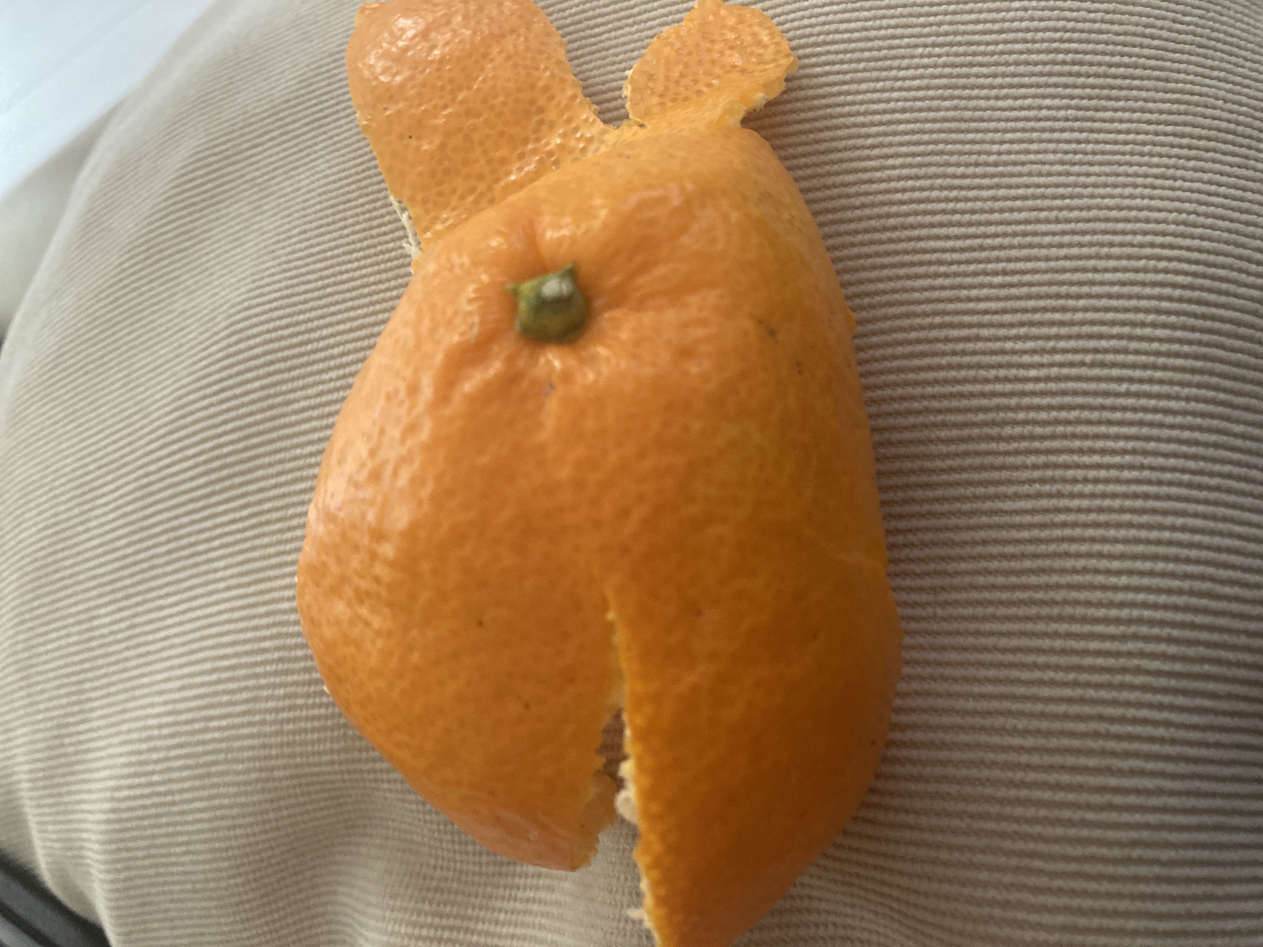 朝からスカイツリー🗼