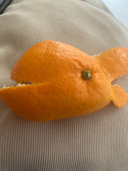 朝からスカイツリー🗼