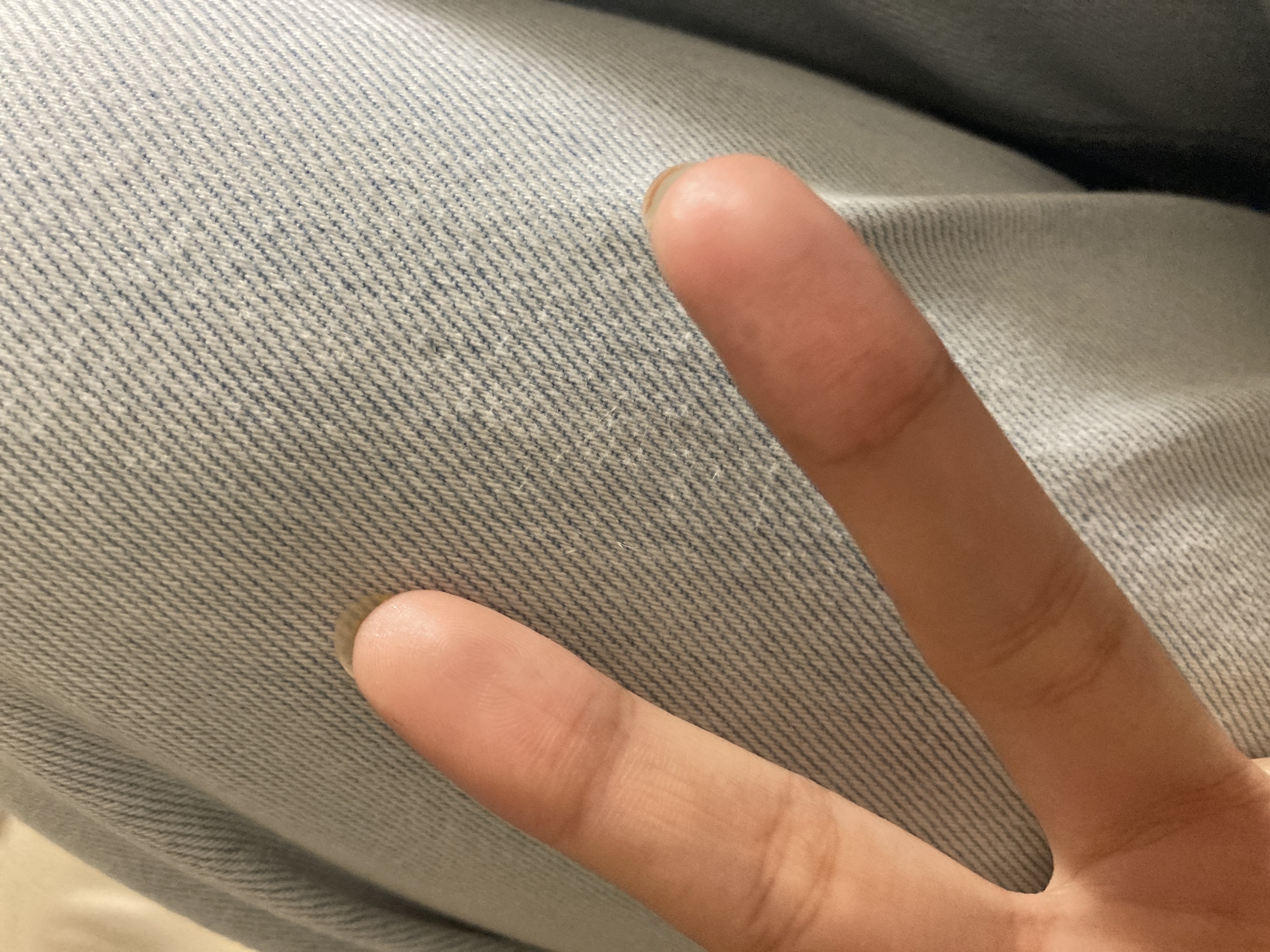 もしかしたらサーモン🐟