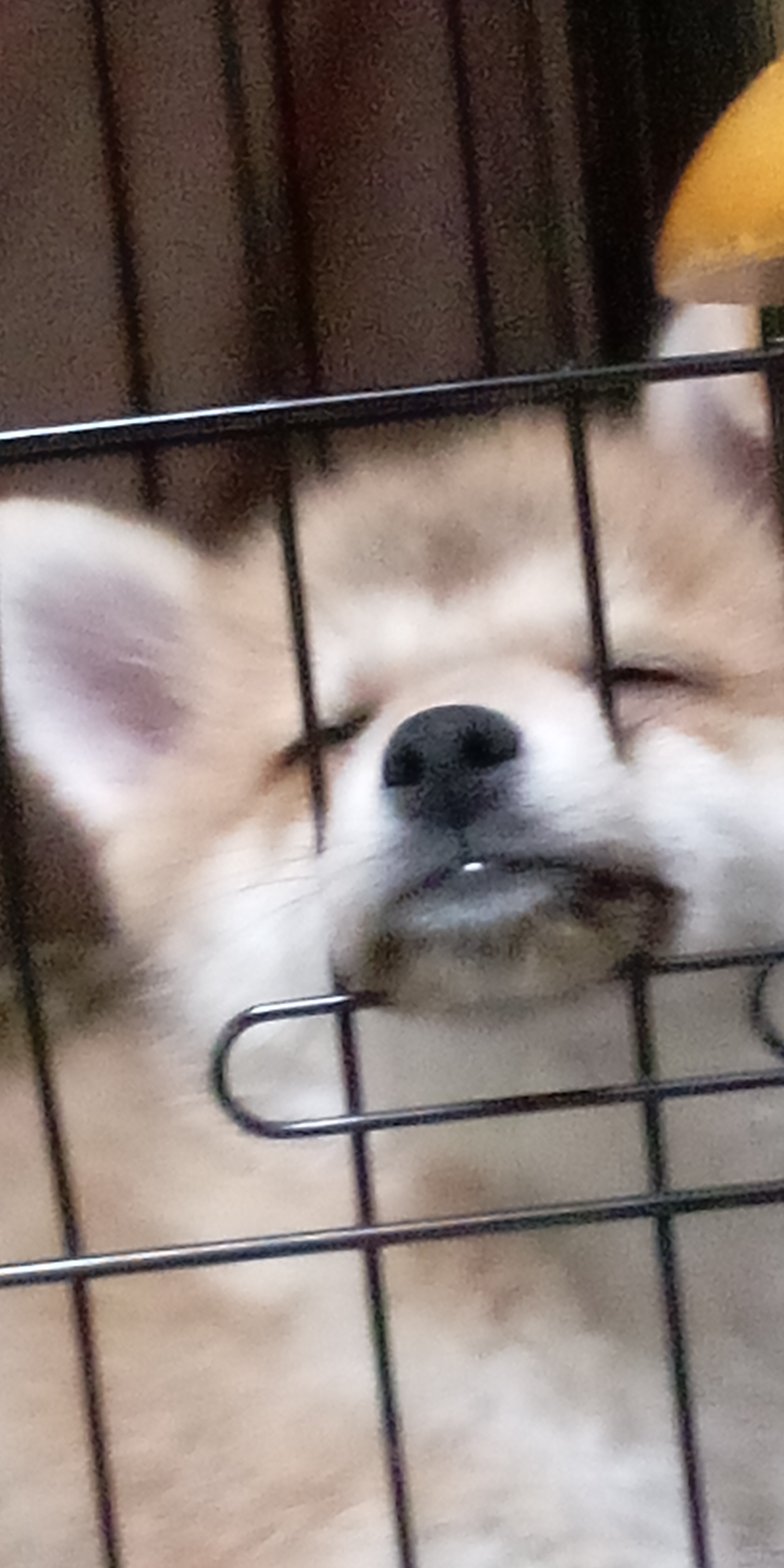 みぃ｜カピカピ乾燥肌｜アトピー肌｜くせっ毛