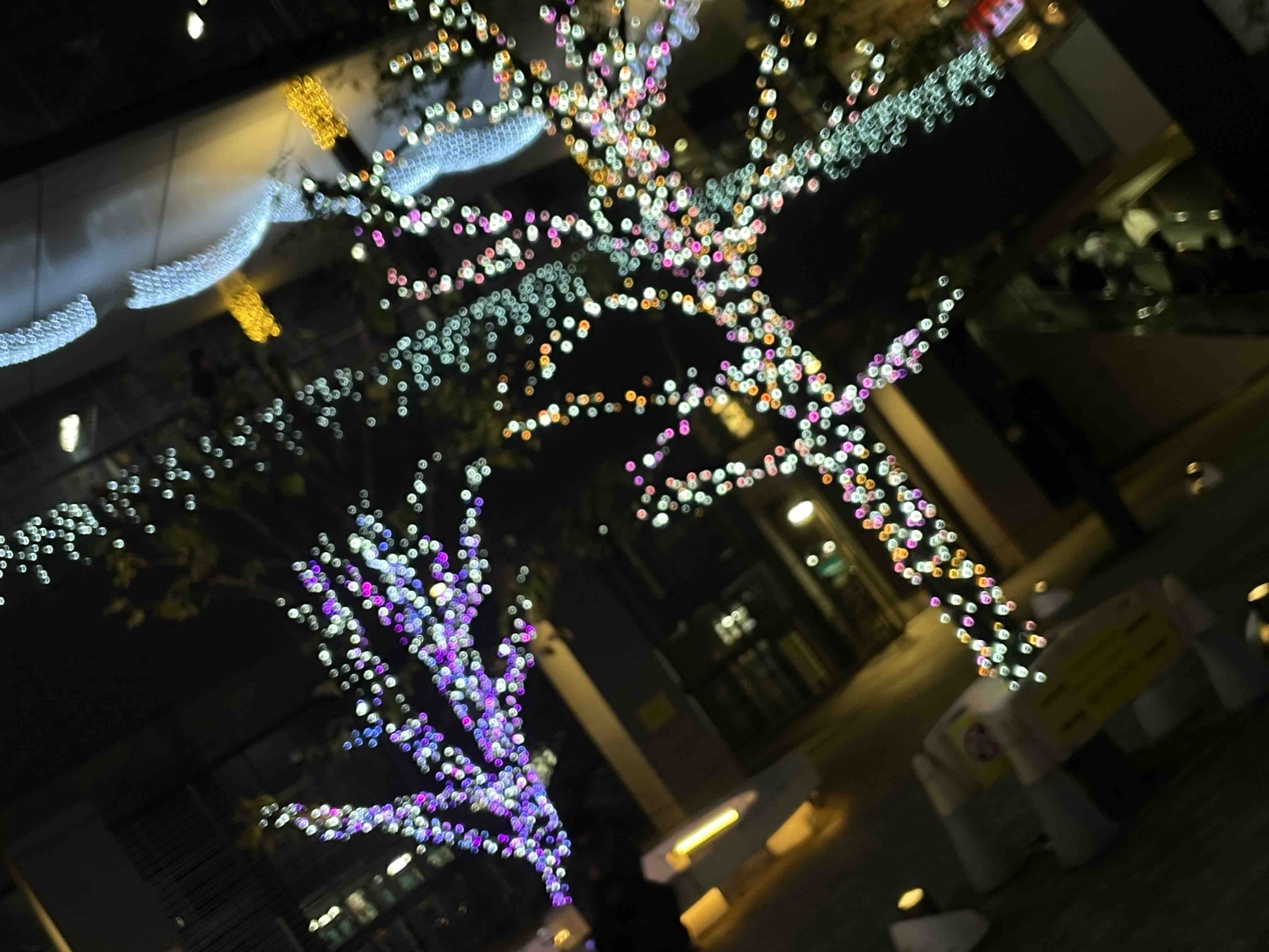 みな🫧.⋆𝜗𝜚