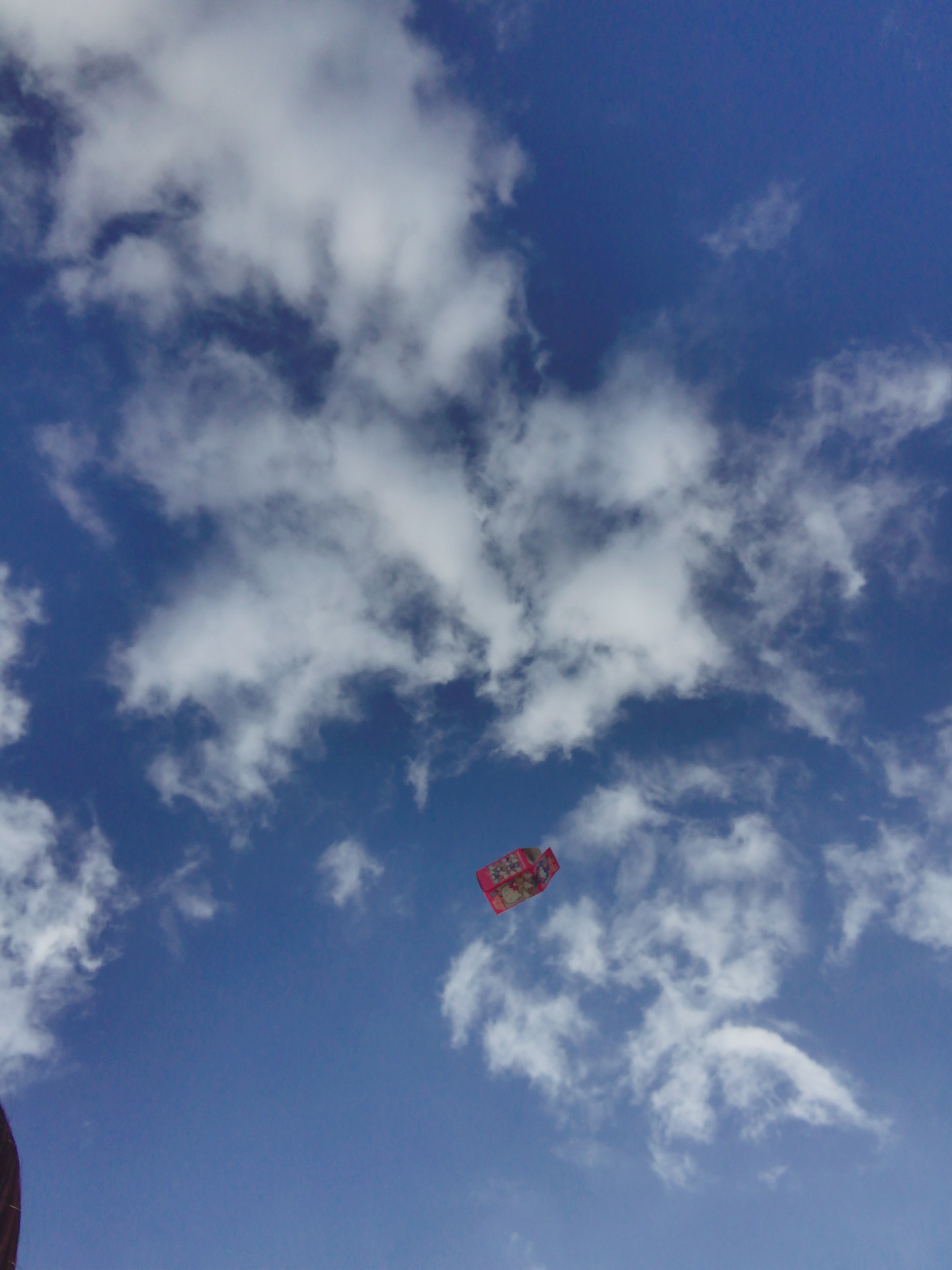 🎀🫧🐰𝕞(๑⃙⃘◉｡◉๑⃙⃘)𝕜☁️🍒🎀