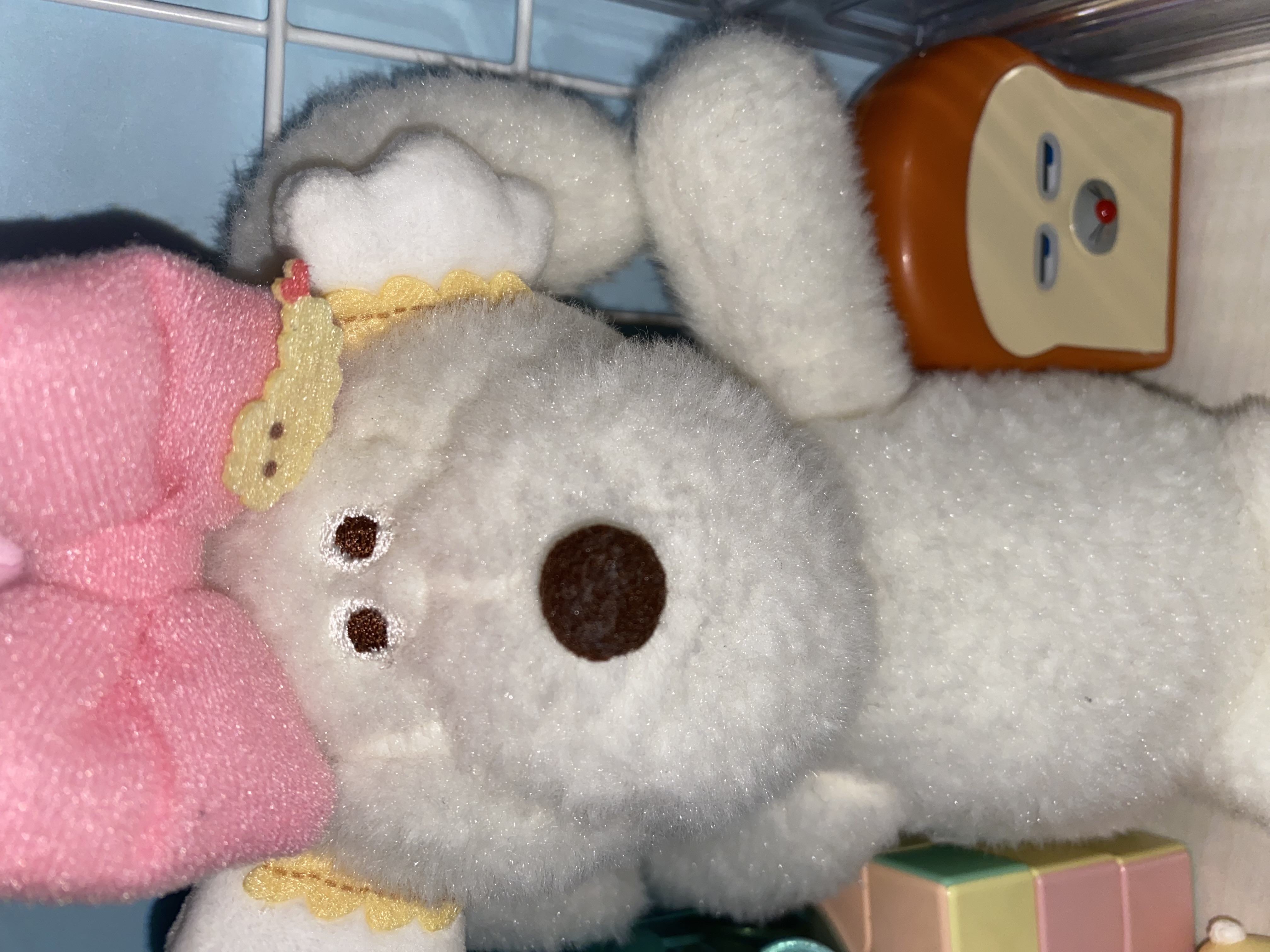 ＫＯ　　フォロバ💯