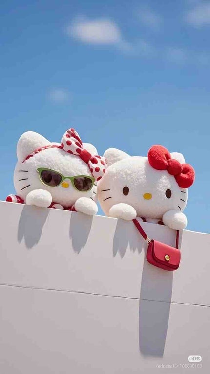 popomi🥹フォロバックしてます