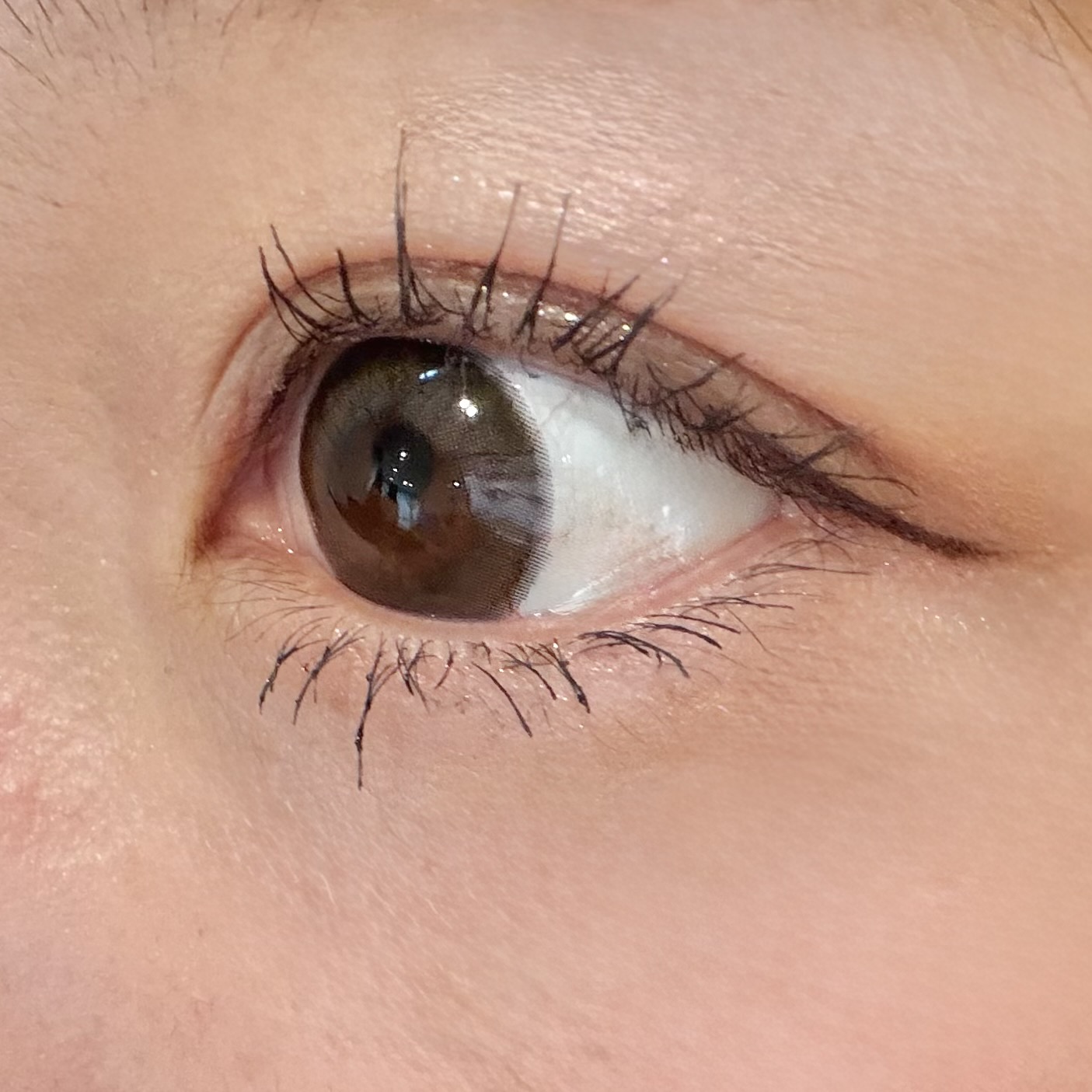 まりえるちゃん🦭フォロバ100