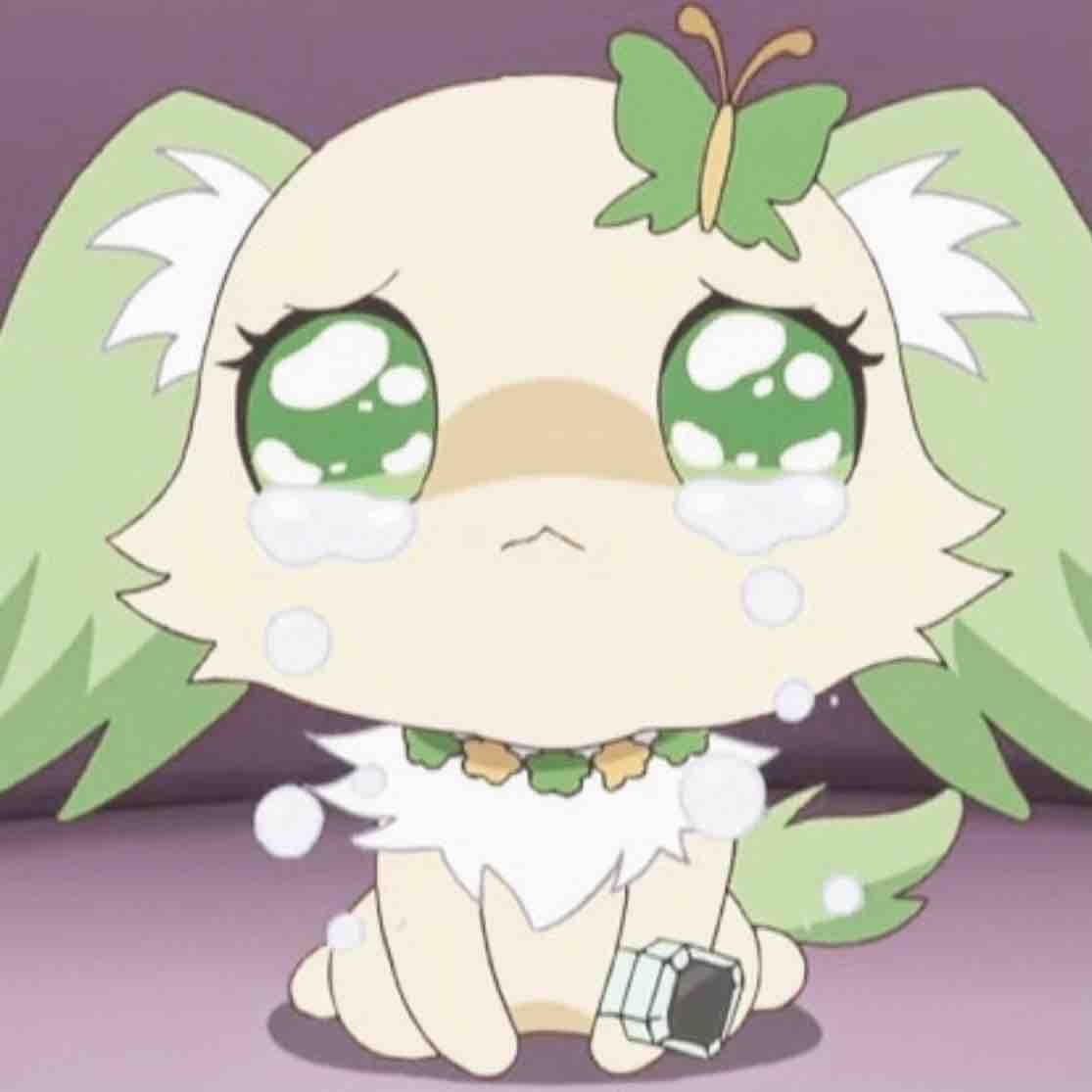 𝐇𝐢𝐦𝐚𝐫𝐢🌻(ﾌｫﾛﾊﾞ)