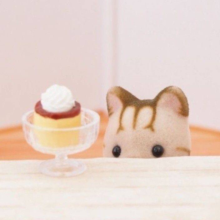 まっしろ 必ずフォロバ100